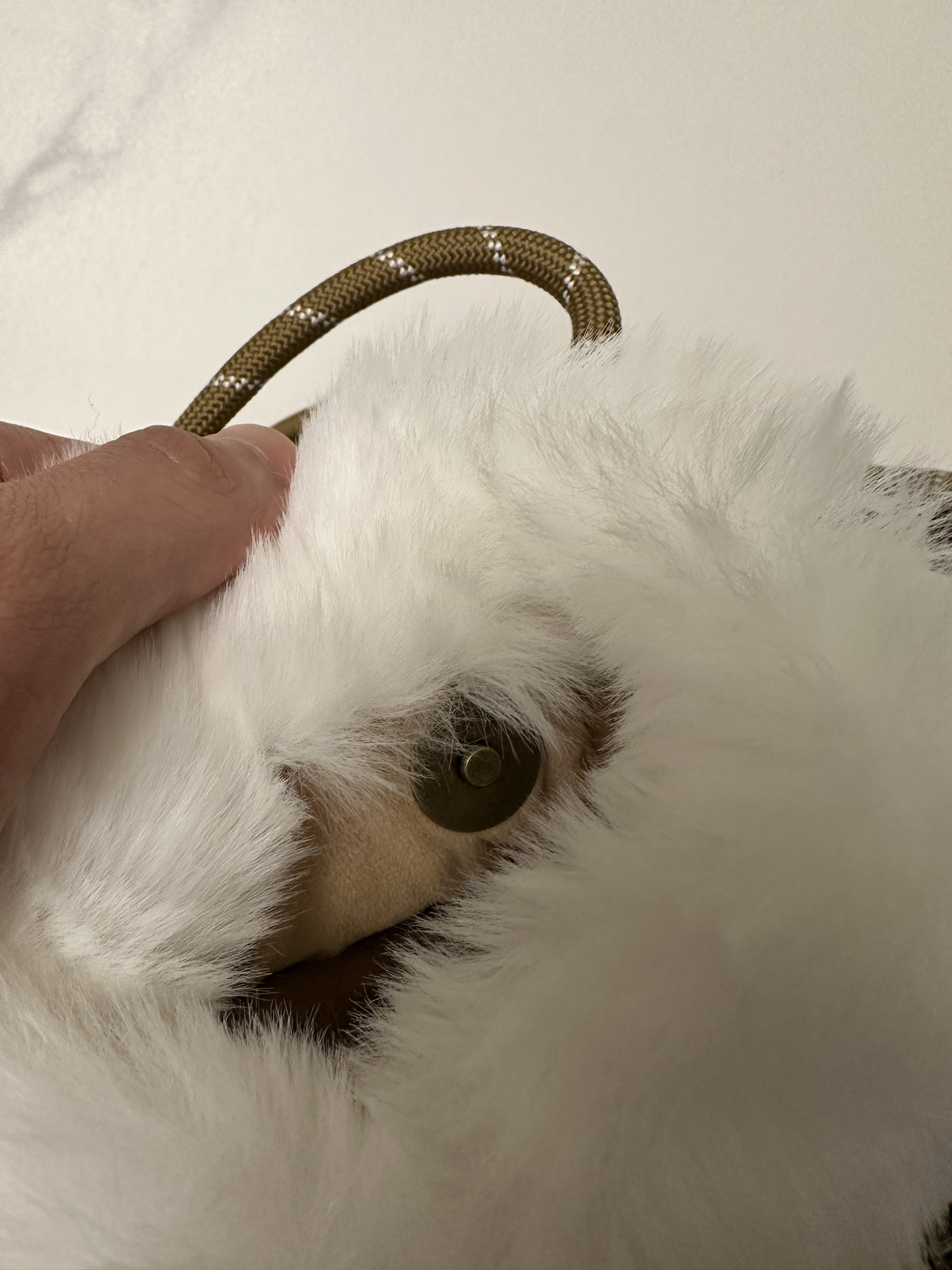 custom review-POP MART LABUBU Twinkly Fairy Tale Сумка На Плечо В Форме Перчатки Трендовый Мерч