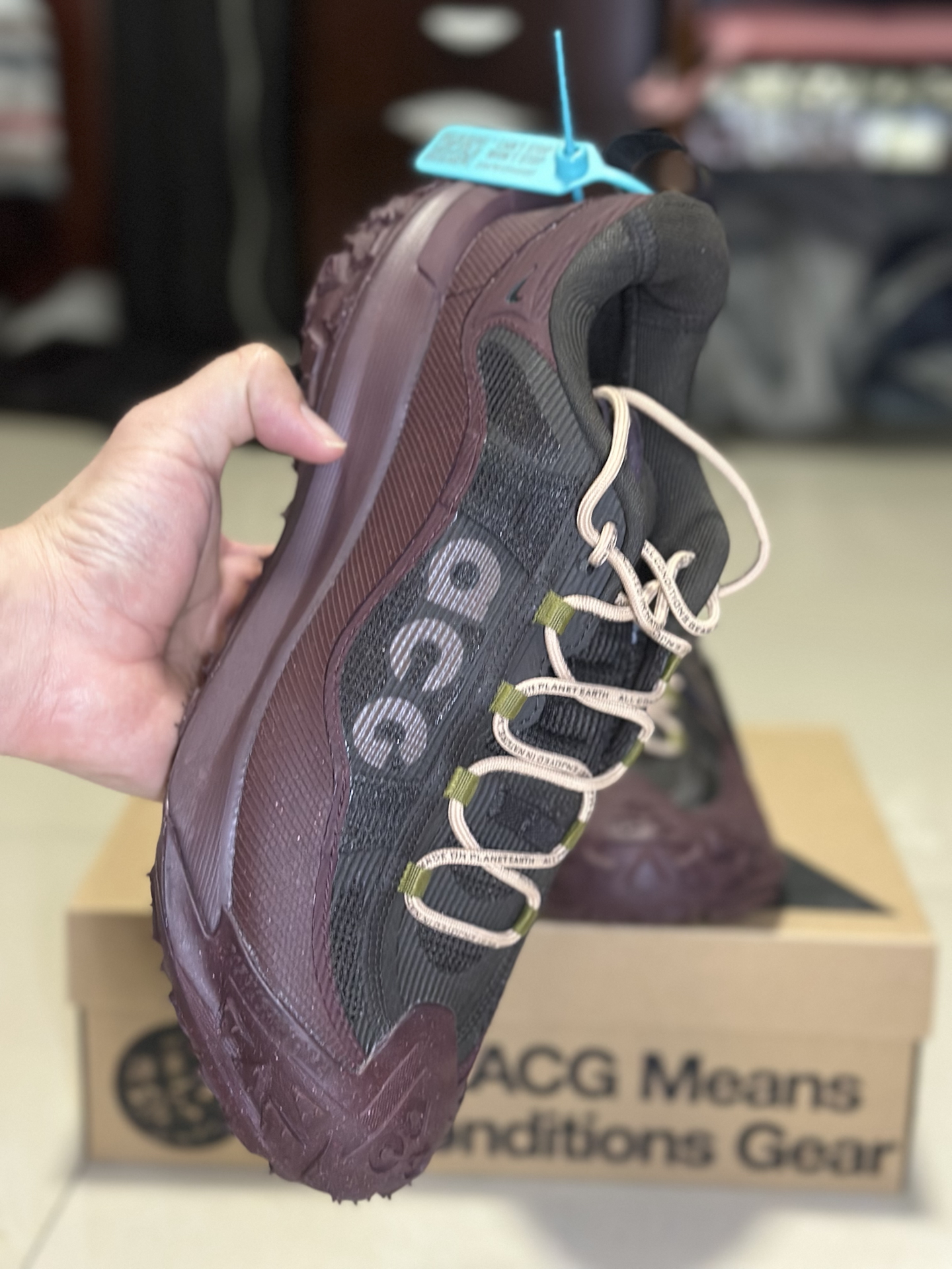 custom review-Nike ACG Mountain Fly 2 Водонепроницаемый Низкий Топ Походная обувь Унисекс Бордовый