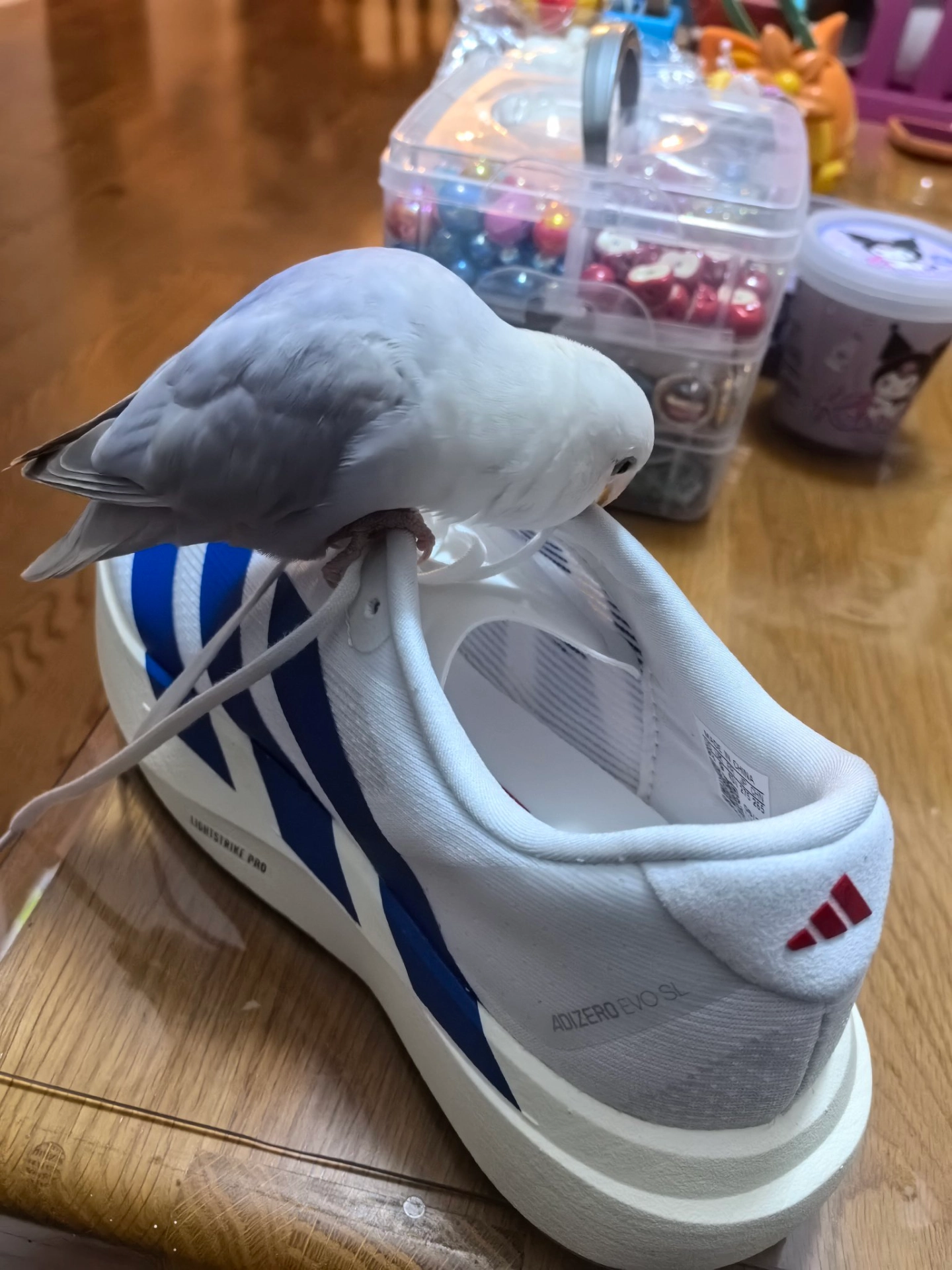 Фото из отзыва