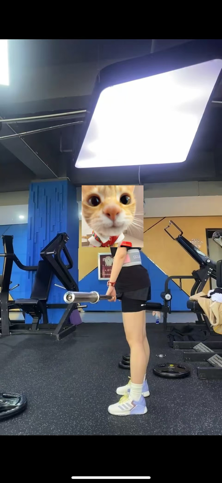 custom review-Adidas Ultimate Спортивные шорты Женские Черные