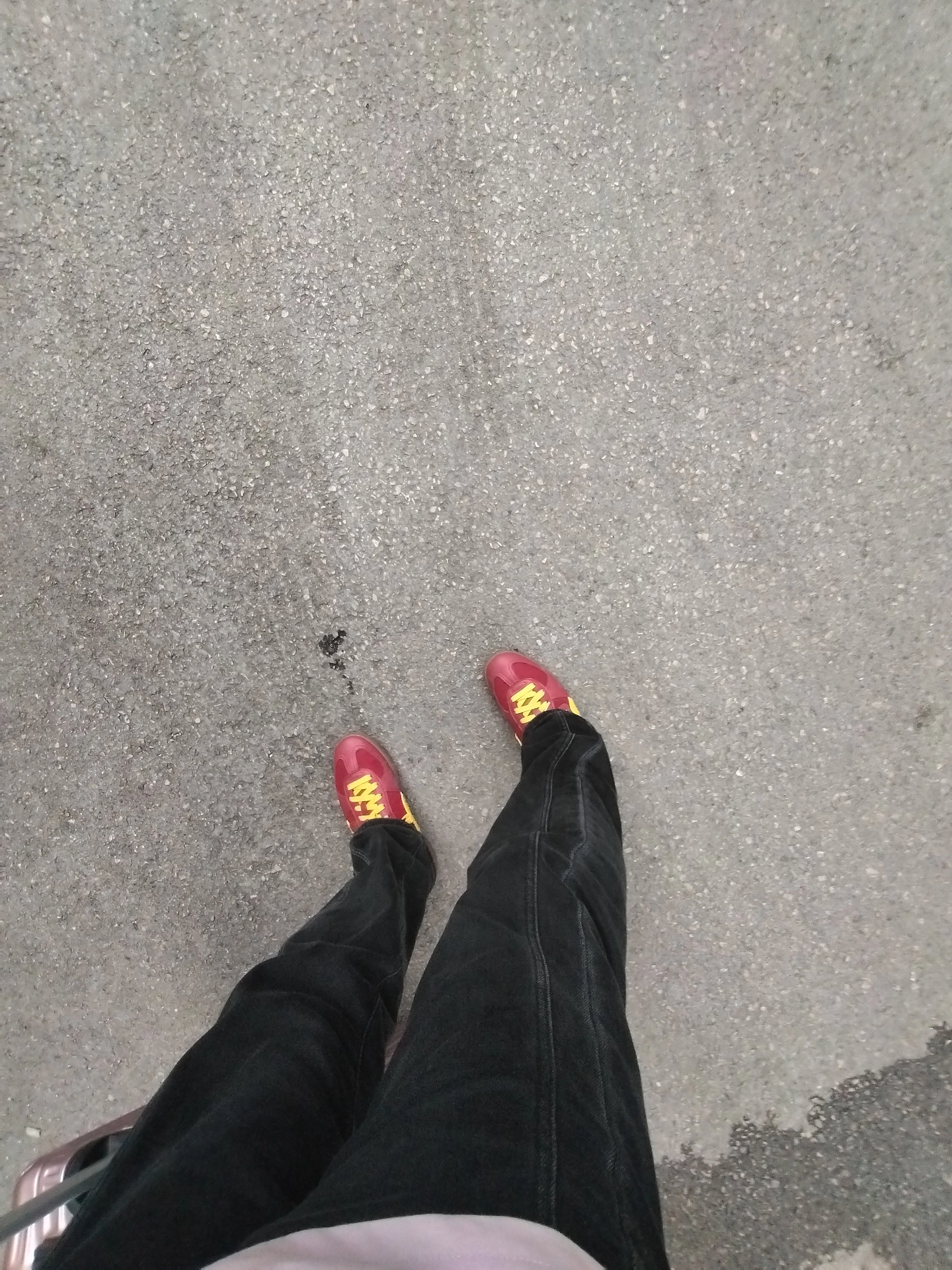 custom review-Гарри Поттер X PUMA Palermo Аbrasion Resistant Низкие Кроссовки для скейтбординга Мужские Темно-красные