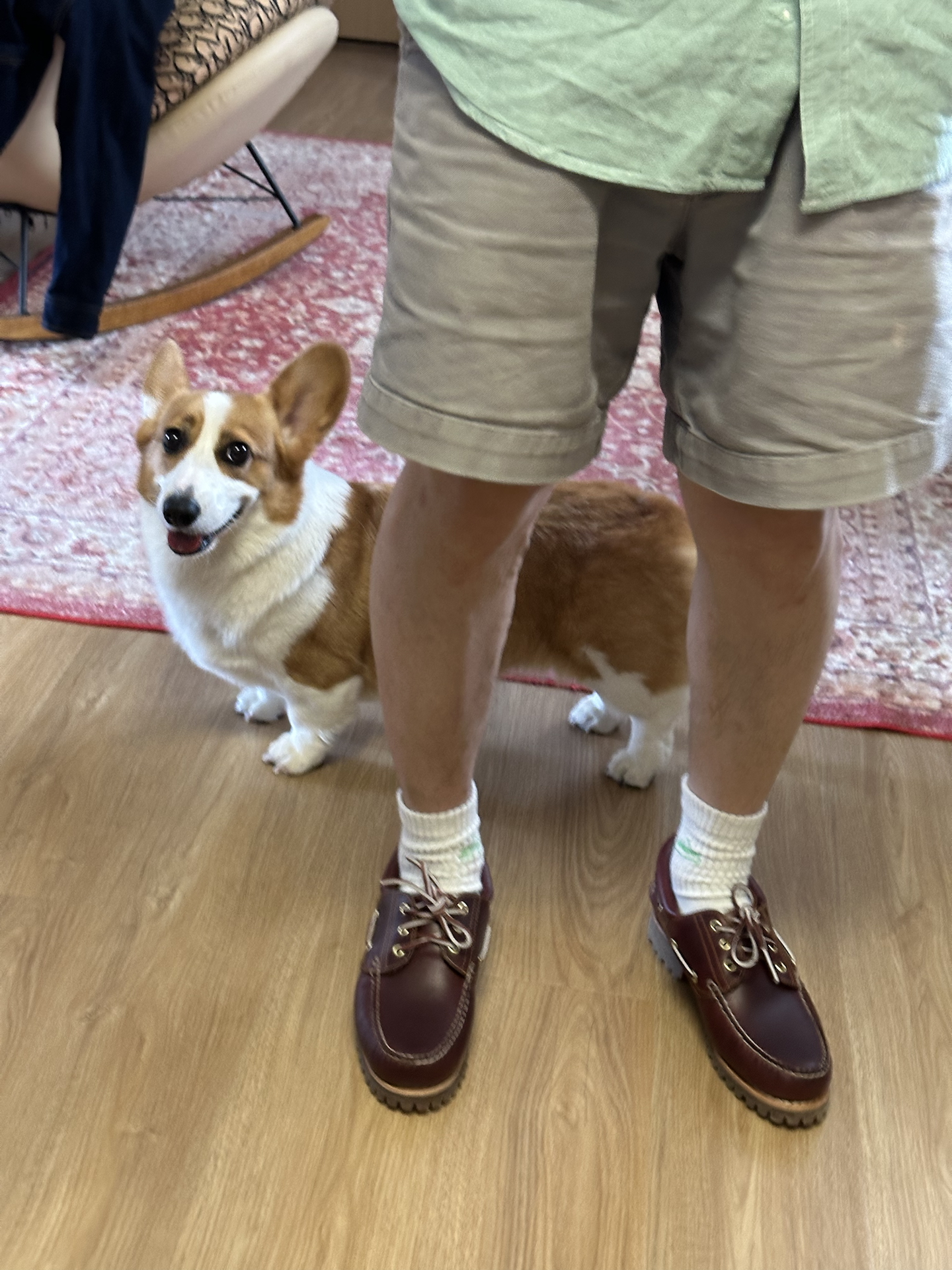 custom review-Timberland Противоскользящие Устойчивые к истиранию Низкие Кроссовки для скейтбординга Мужские Темно-красные Широкая подошва