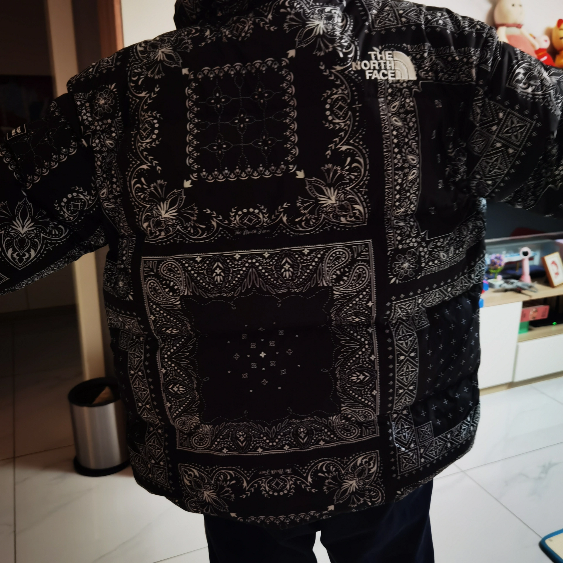 custom review-THE NORTH FACE LOFTY Пуховик Зимний Унисекс Черный