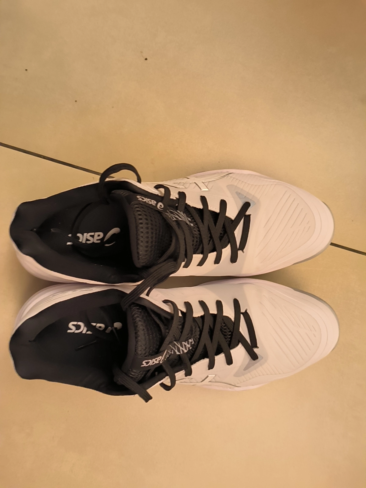 custom review-Asics Sky Elite FF 3 Устойчивые к истиранию низкие кроссовки для тренировок унисекс белые