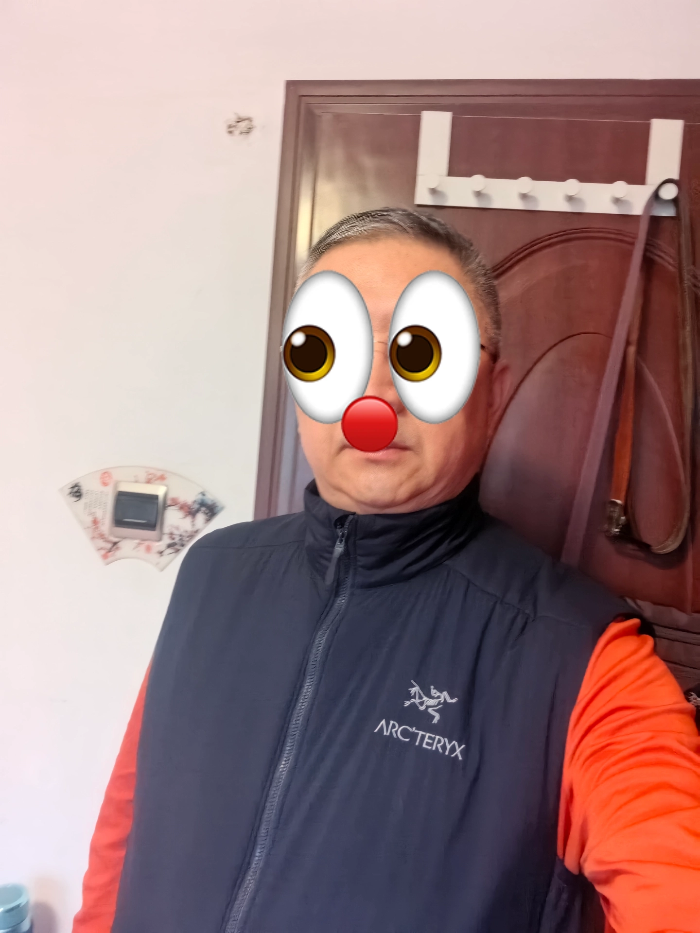 custom review-Arcteryx ATOM Мужские жилеты