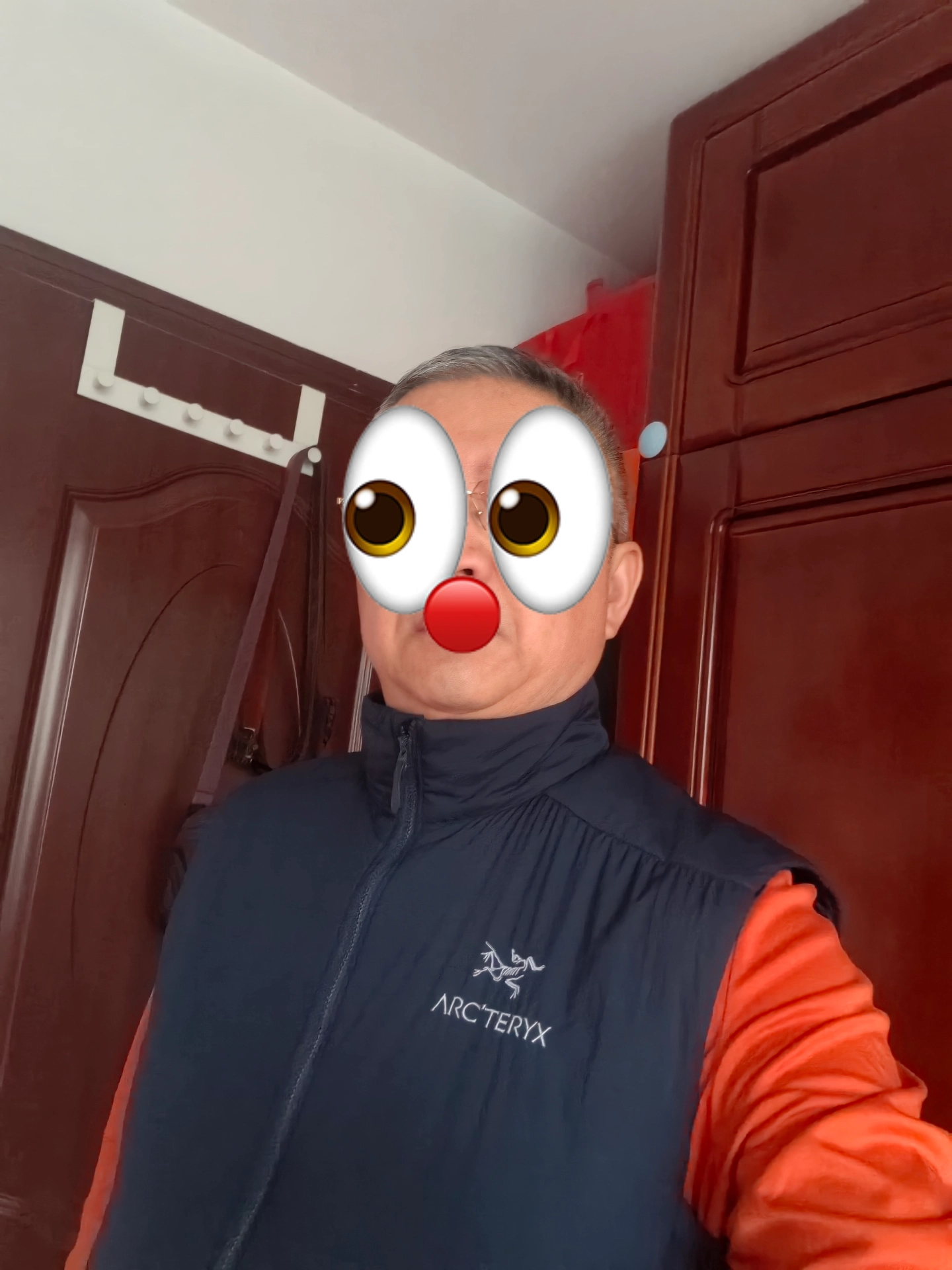 custom review-Arcteryx ATOM Мужские жилеты