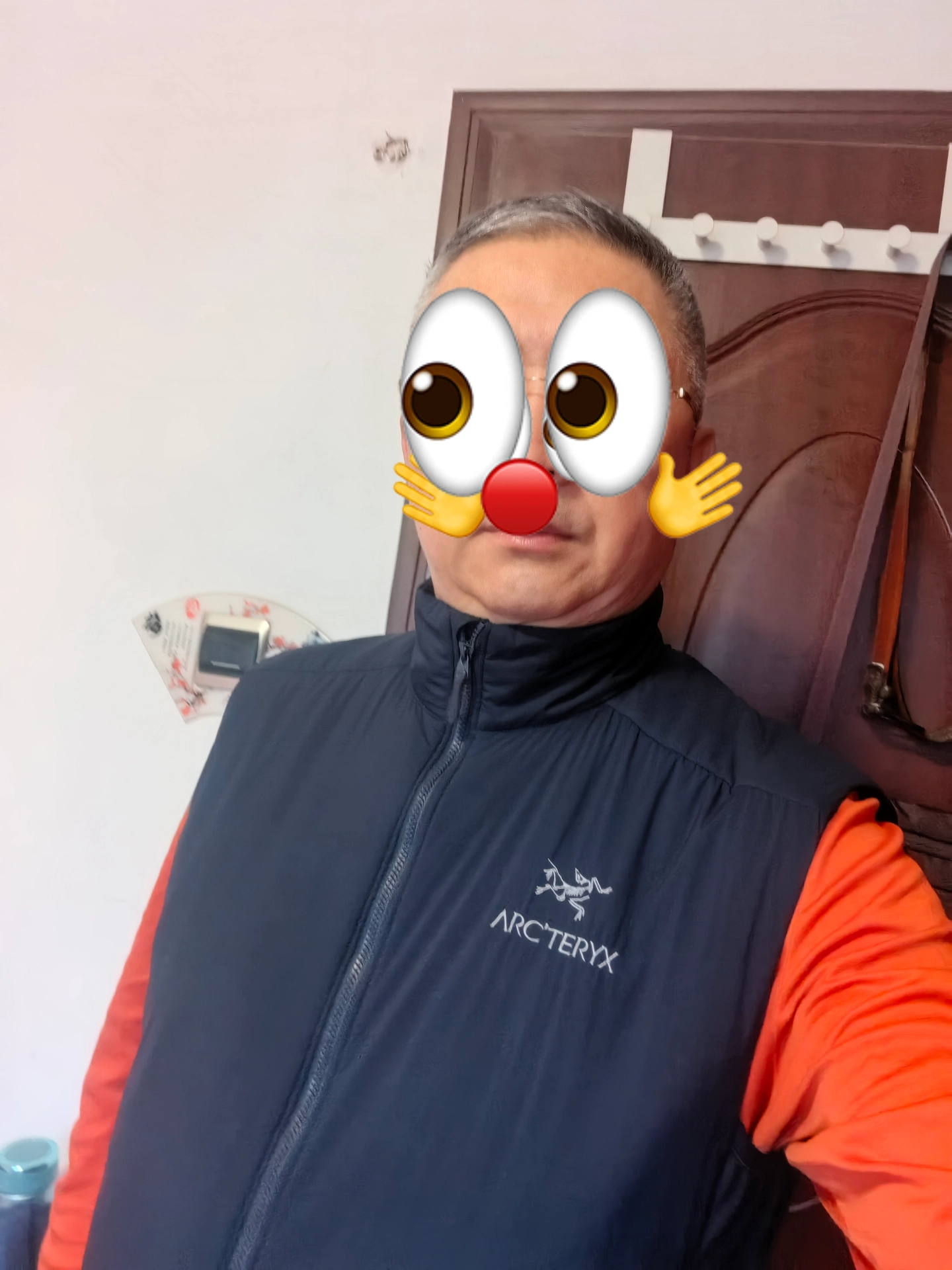 custom review-Arcteryx ATOM Мужские жилеты