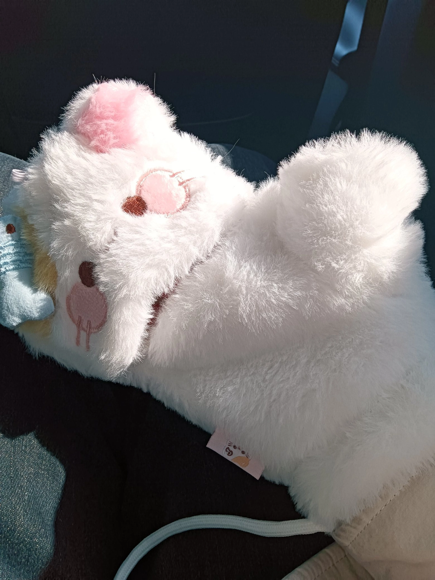 custom review-SLEEPYWALK Полиэстер Трикотаж Перчатки Женские