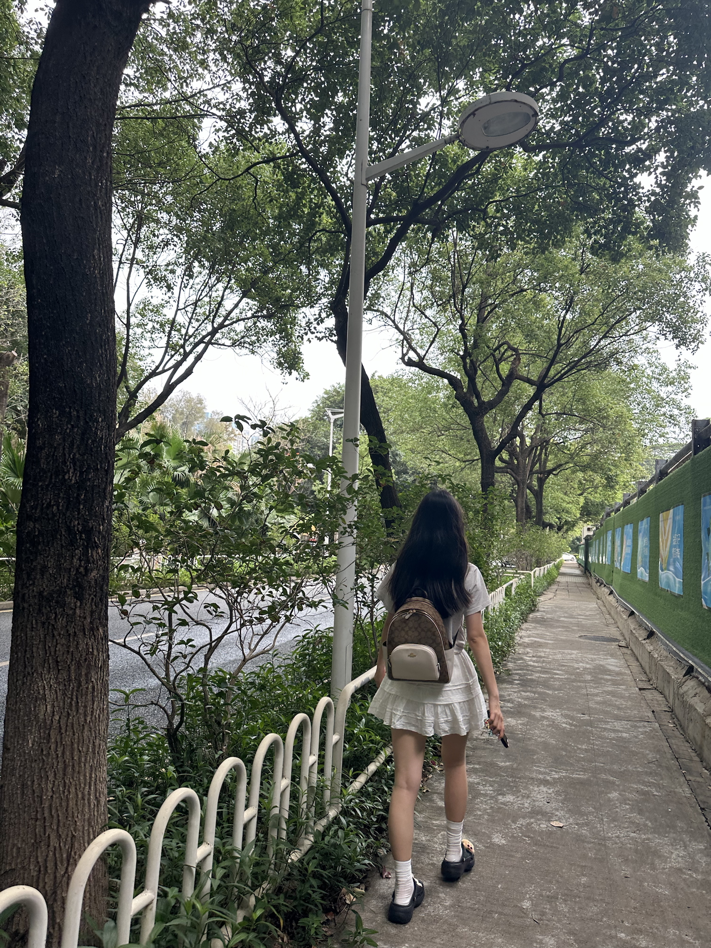 custom review-COACH Рюкзак из холста и кожи среднего размера для женщин белый и коричневый