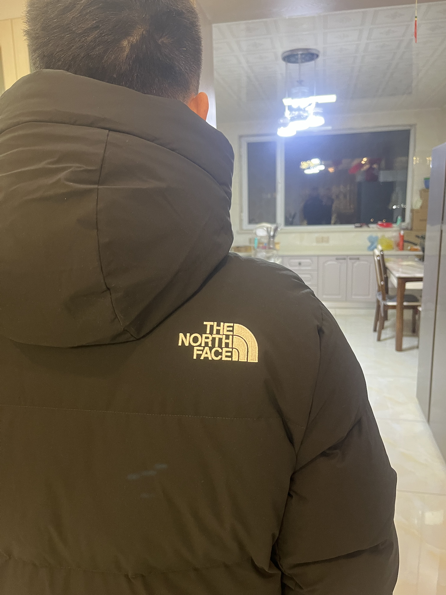 custom review-The North Face ACTION FREE FW24 Down Jacket Unisex Black