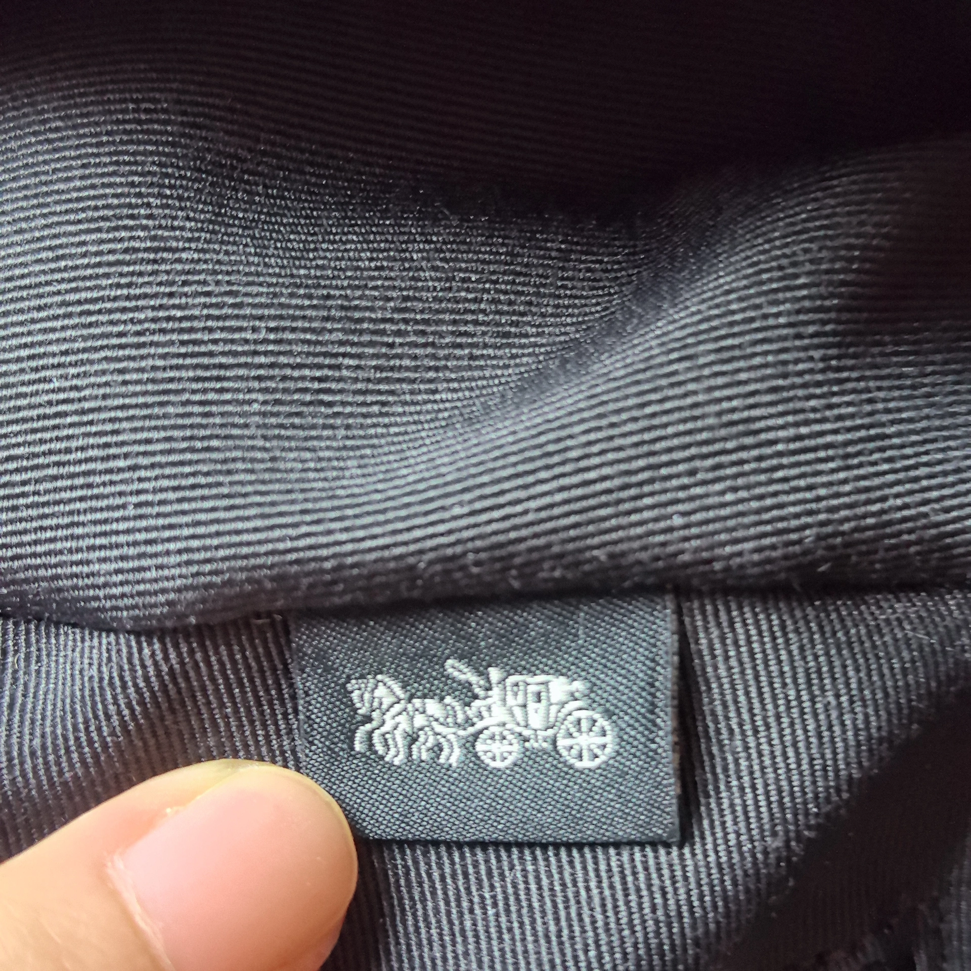 custom review-COACH Charlie Canvas с Телячьей Кожей Рюкзак Большой Унисекс Черный