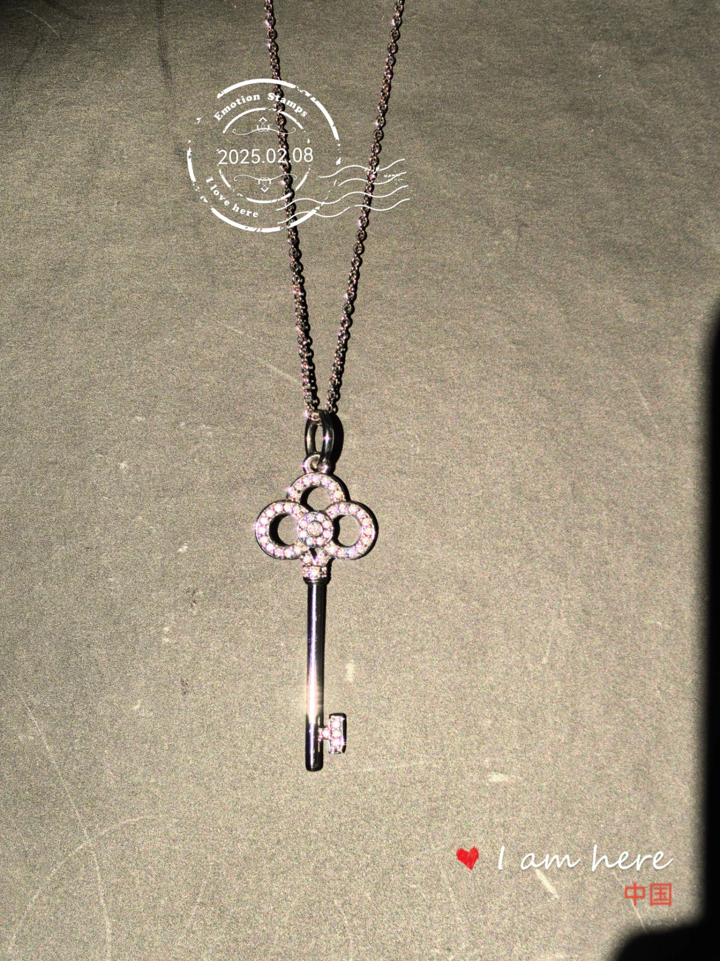 蒂芙尼钥匙家族,这个系列选择很多不同款式 不同大小
皇冠钥匙,鸢尾花