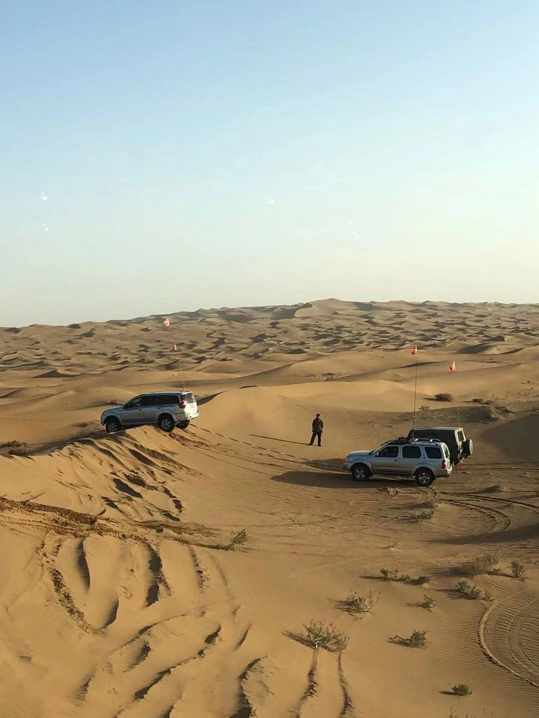 custom review-JEEP Fashion Sports Collection Активный отдых Полиэстер Панамы Унисекс