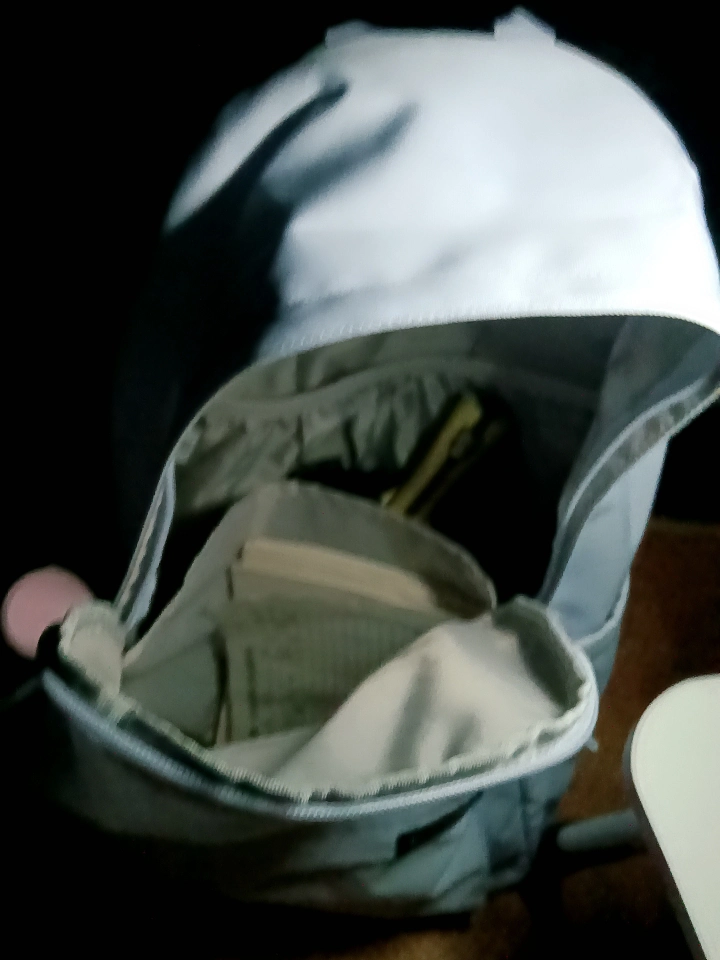 custom review-Li NING Полиэстер Ноутбук Сумка Рюкзак Унисекс Светлый Морозный Синий