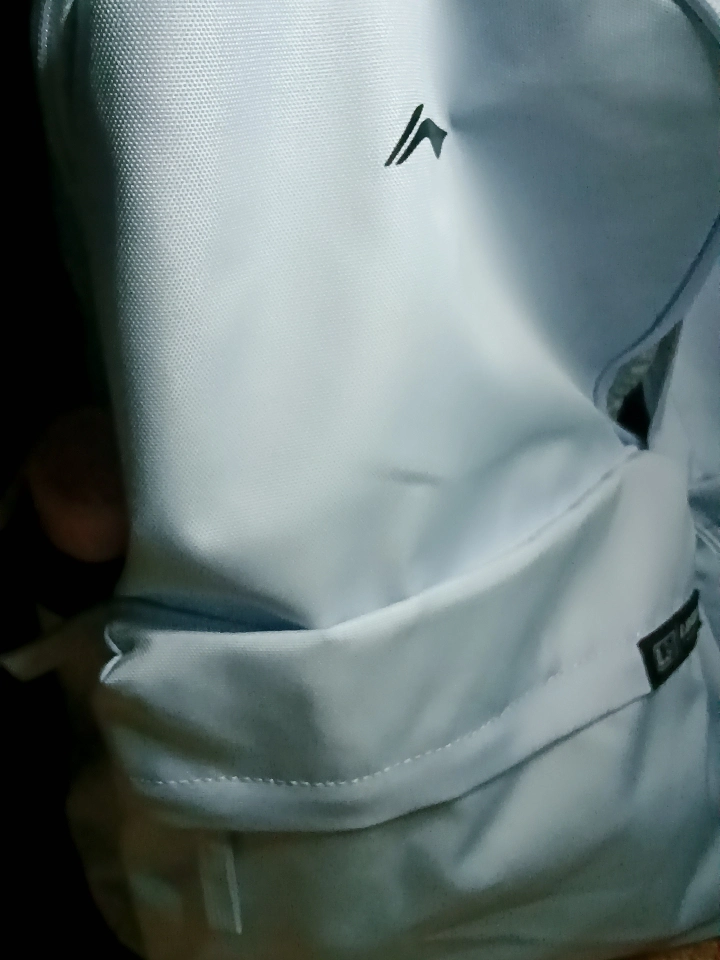 custom review-Li NING Полиэстер Ноутбук Сумка Рюкзак Унисекс Светлый Морозный Синий