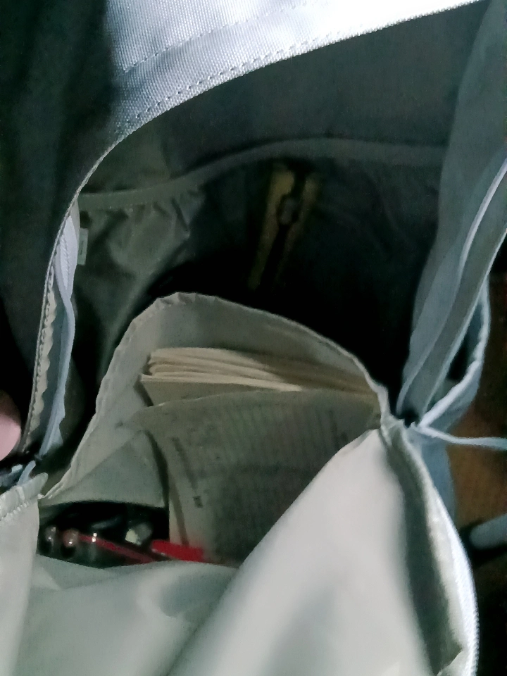 custom review-Li NING Полиэстер Ноутбук Сумка Рюкзак Унисекс Светлый Морозный Синий