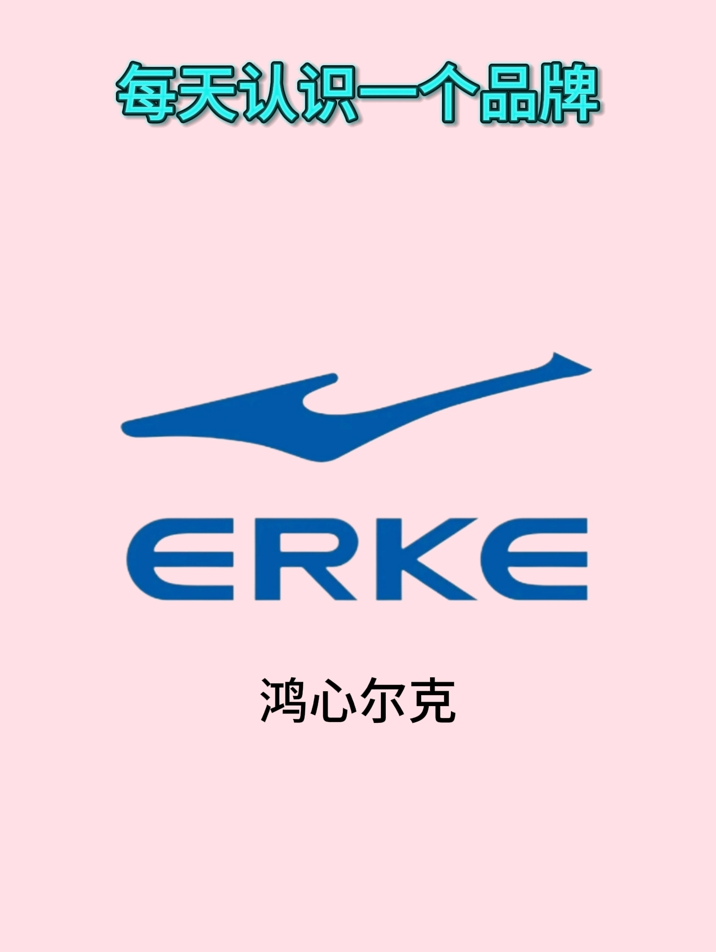 🏀那么,为什么鸿星尔克会成为你求职的热门选择呢?