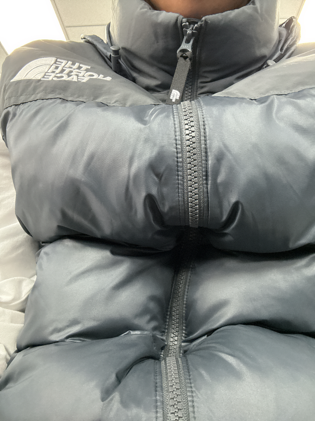 custom review-THE NORTH FACE Жилет Мужской Темно-Серый