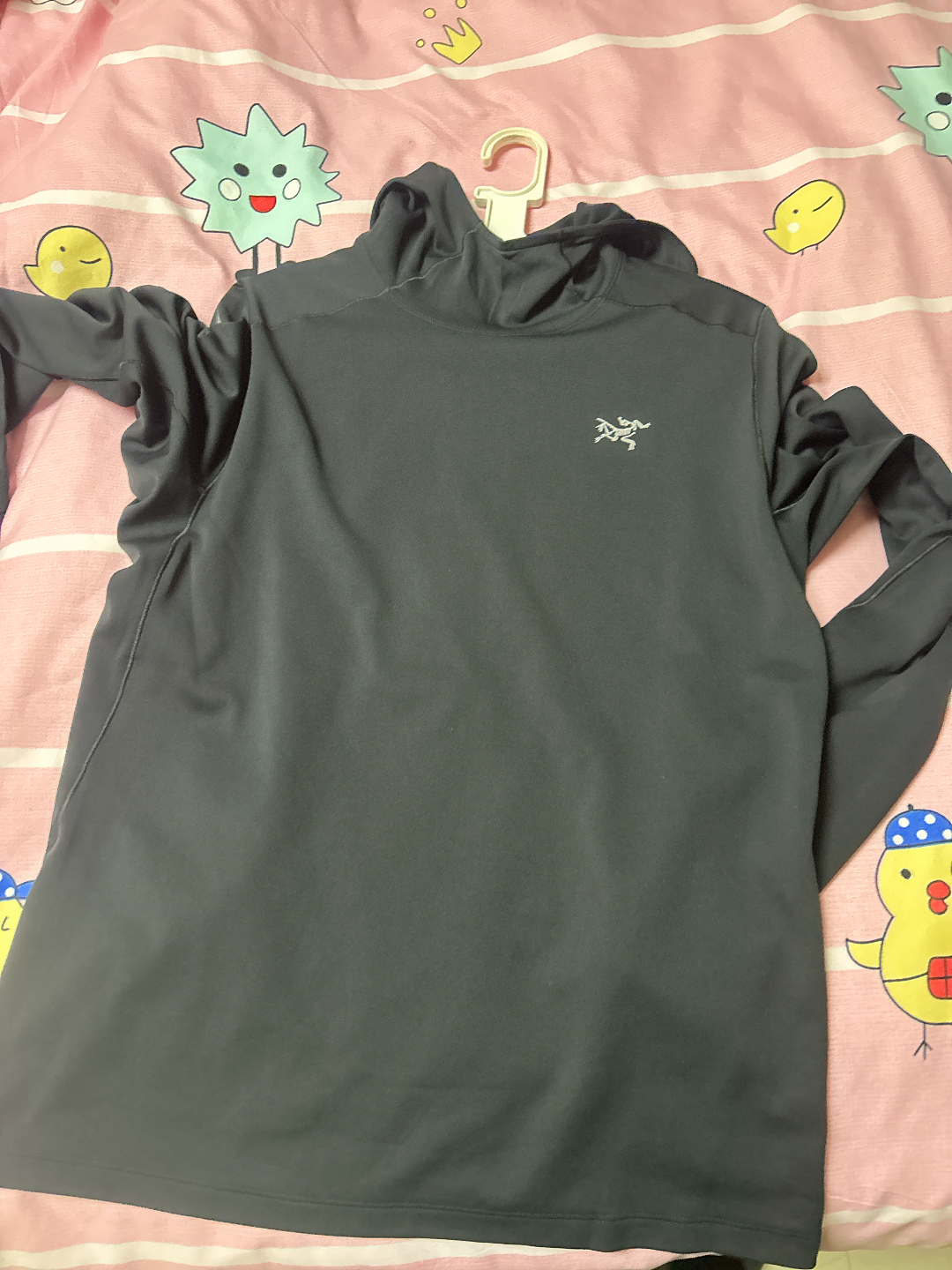 custom review-Arcteryx CORMAC HEAVYWEIGHT HOODY Мужская худи с узорным принтом и спущенным плечом