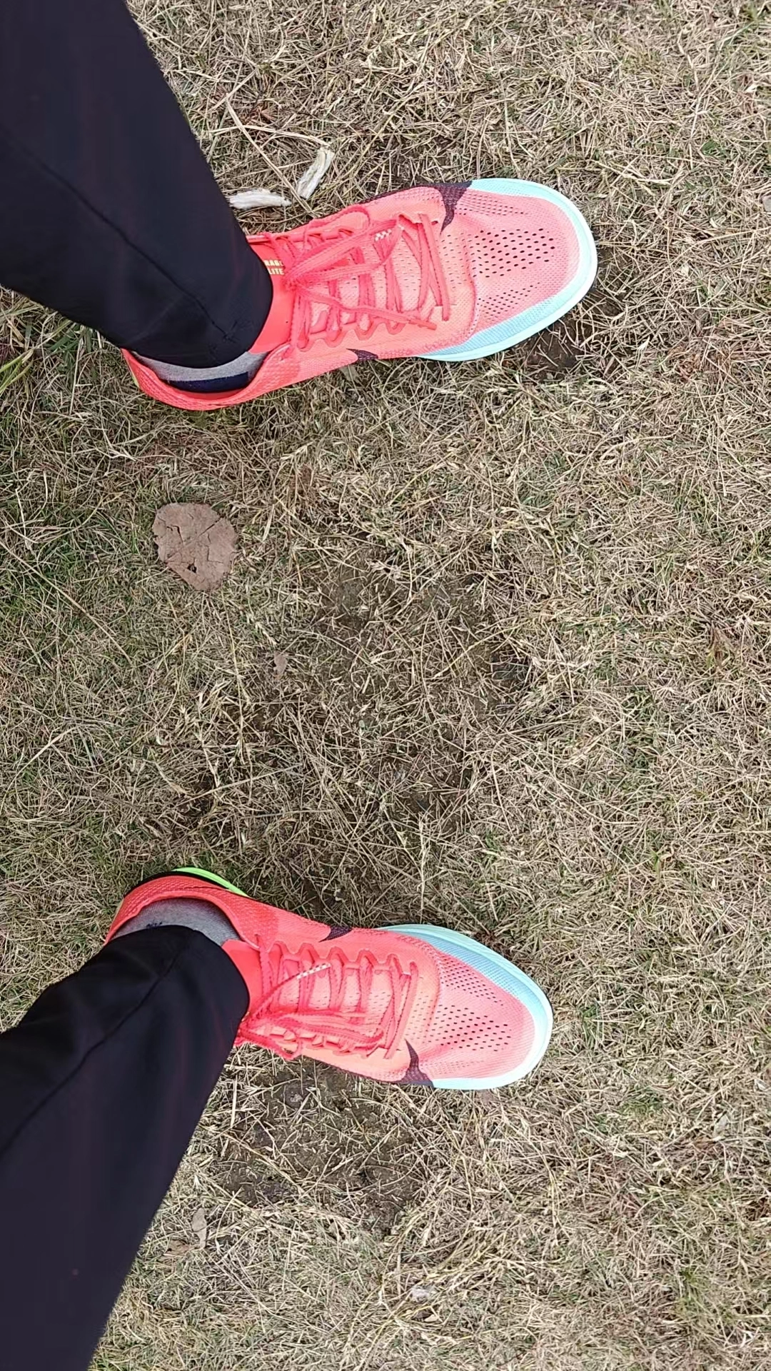 custom review-Nike Dragonfly 2 Slip-Resistant Abrasion-Resistant Low-Top Training Shoes Unisex Red Найки Dragonfly 2 Слип-Резистентный Аbrasion-Resistant Низкий Топ Тренировочные Кроссовки Унисекс Красный