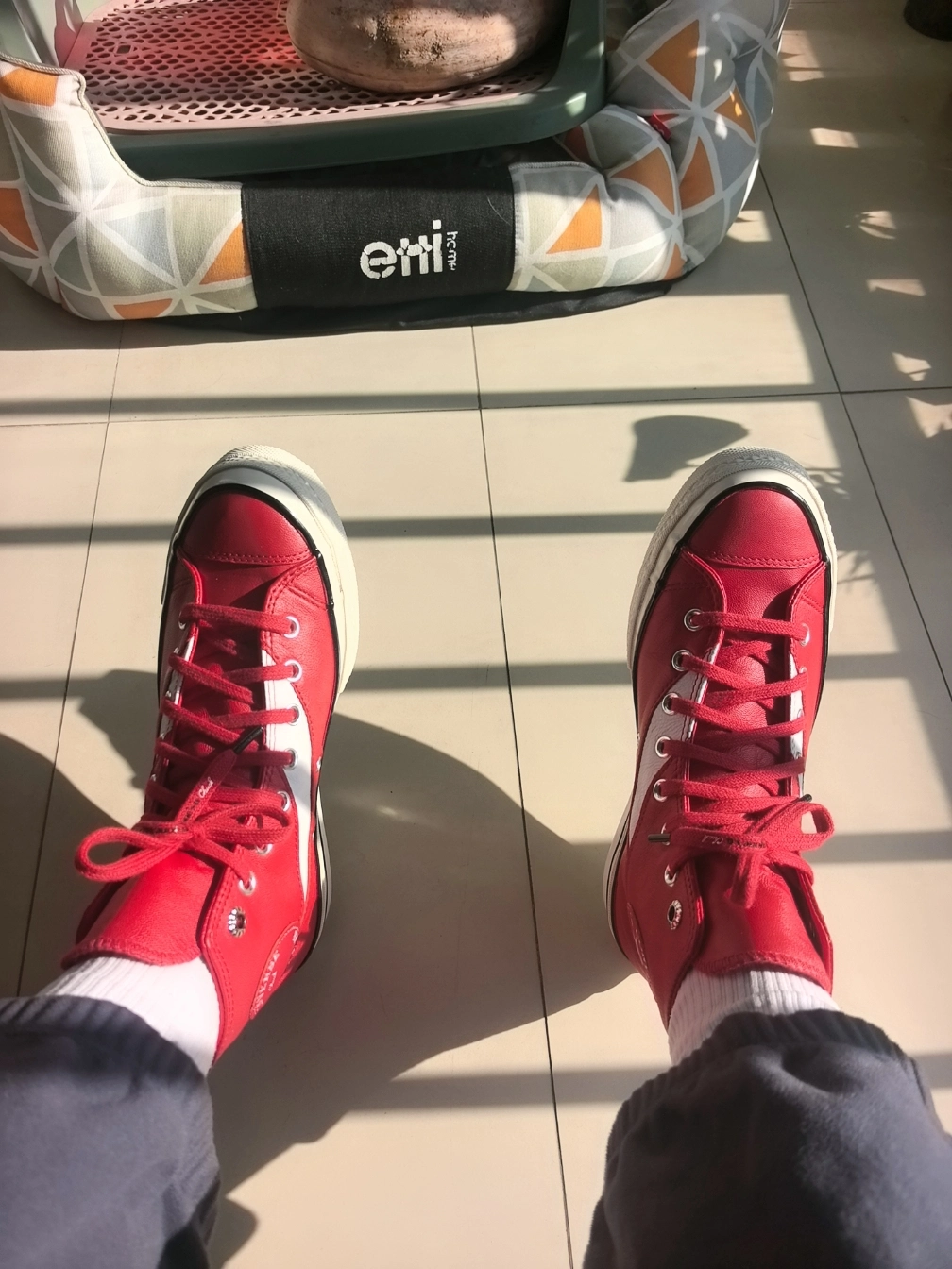 Фото из отзыва