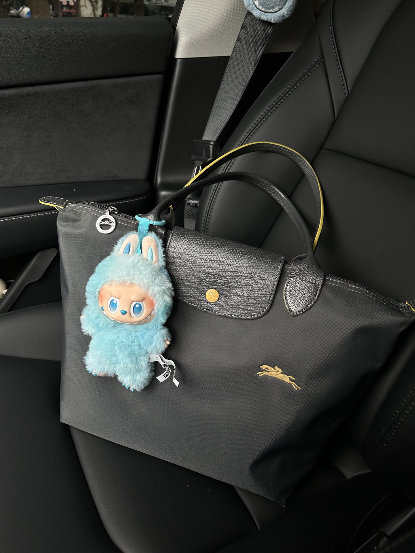 经济适配包:珑骧longchamp长柄中号饺子