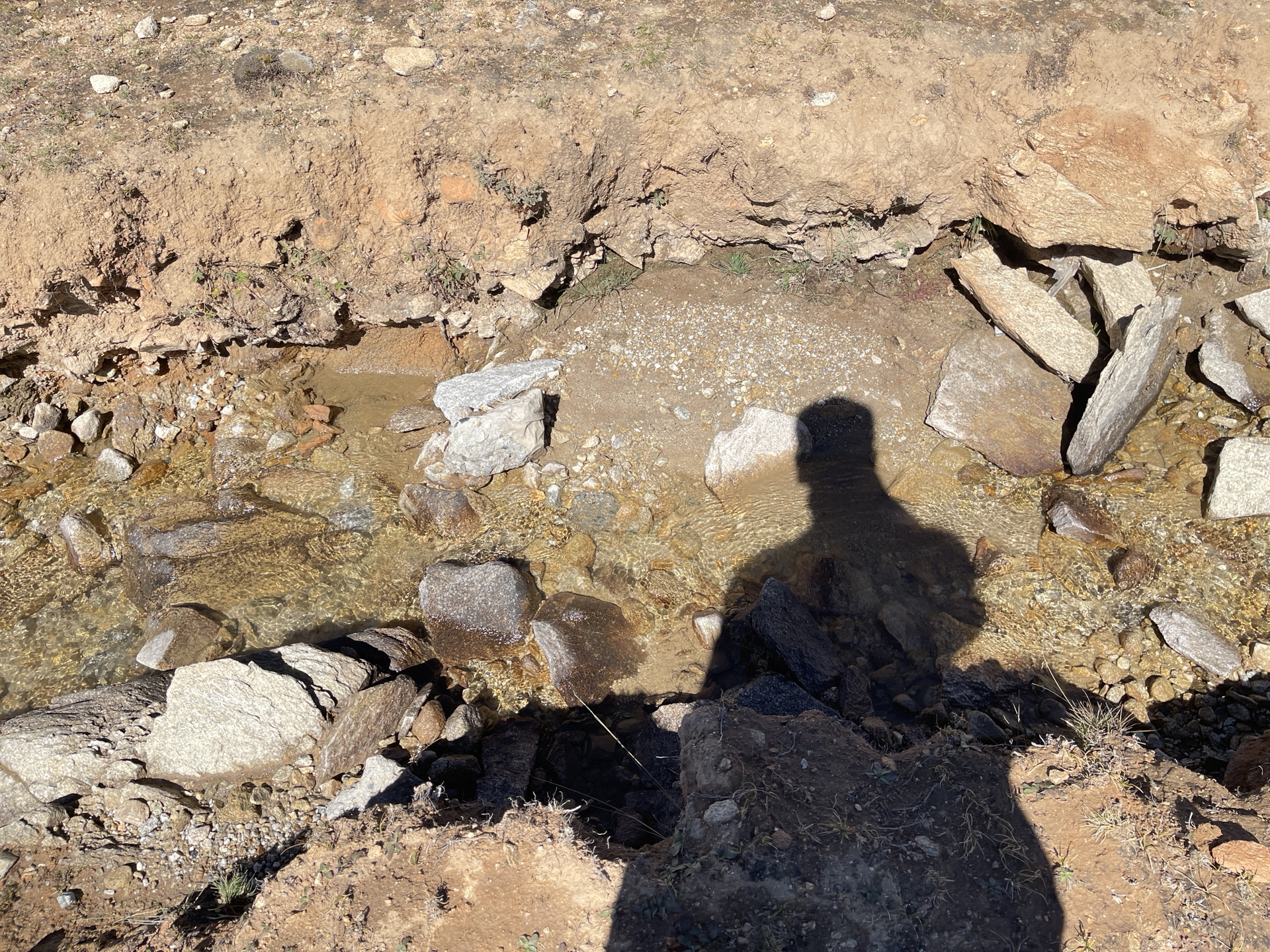 custom review-Tommy Hilfiger FW22 Куртка Мужская Черная