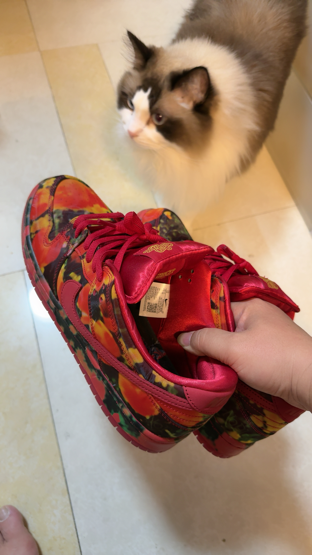 custom review-The Wizard Of Oz X Nike SB Dunk Low