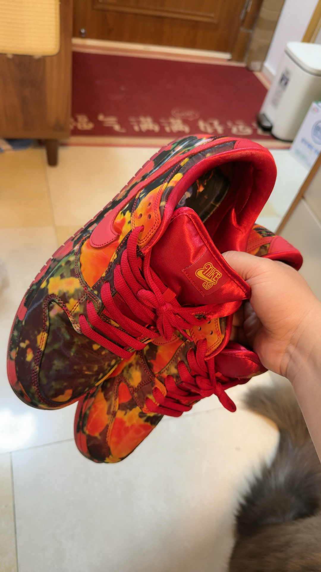 custom review-The Wizard Of Oz X Nike SB Dunk Low