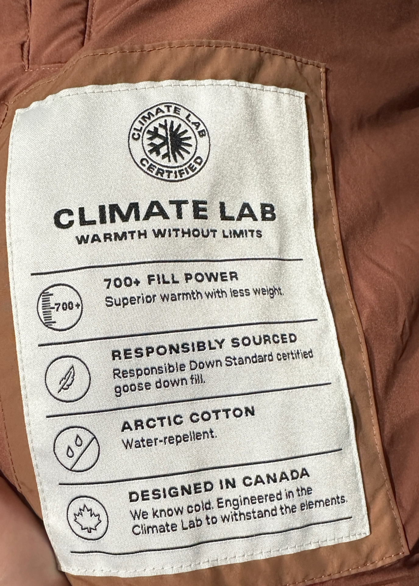 custom review-Aritzia BABATON Корона Пуховик Женский