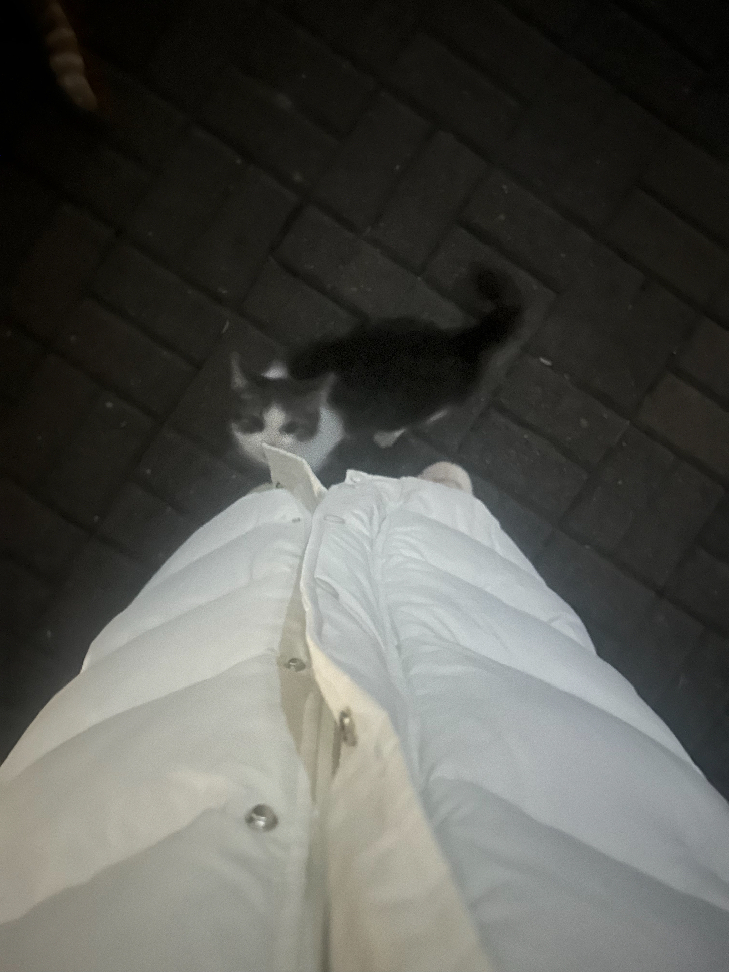 custom review-UGG Овчина Повседневная Обувь Женская Натуральный Белый