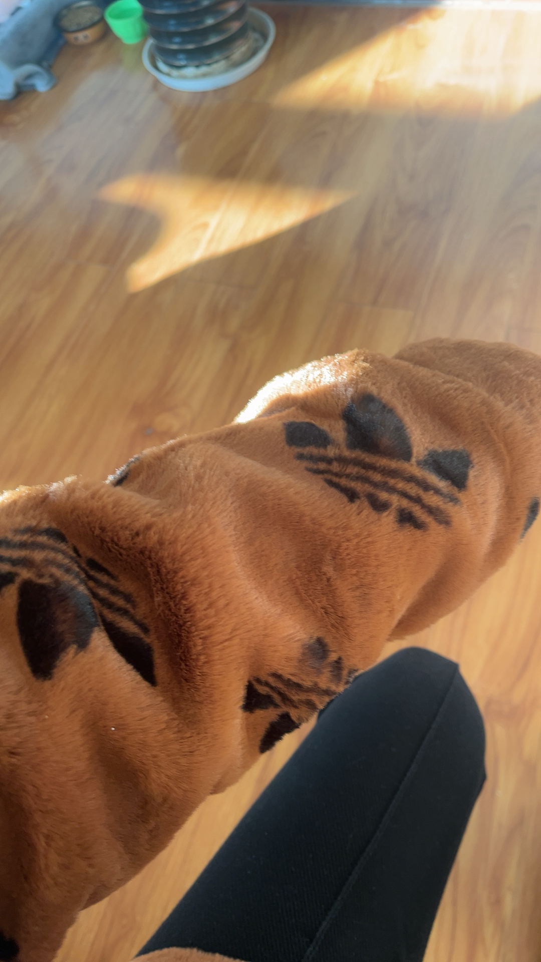 custom review-Adidas Originals Куртка International Size Зимняя Унисекс Коричневая