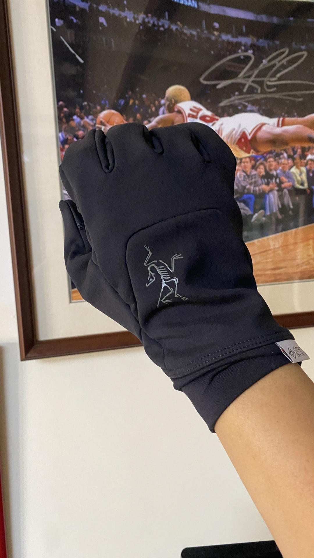 custom review-Arcteryx — Вязаные перчатки Мужские Многоцветные