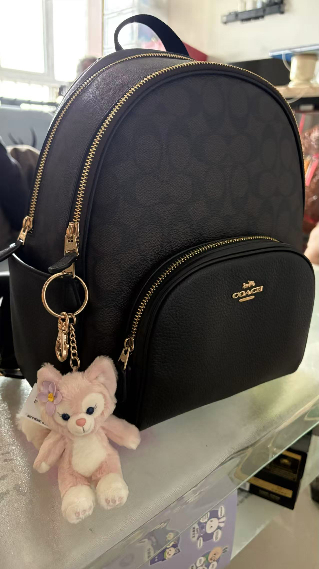 custom review-COACH Рюкзак из холста и кожи Court женский черный коричневый