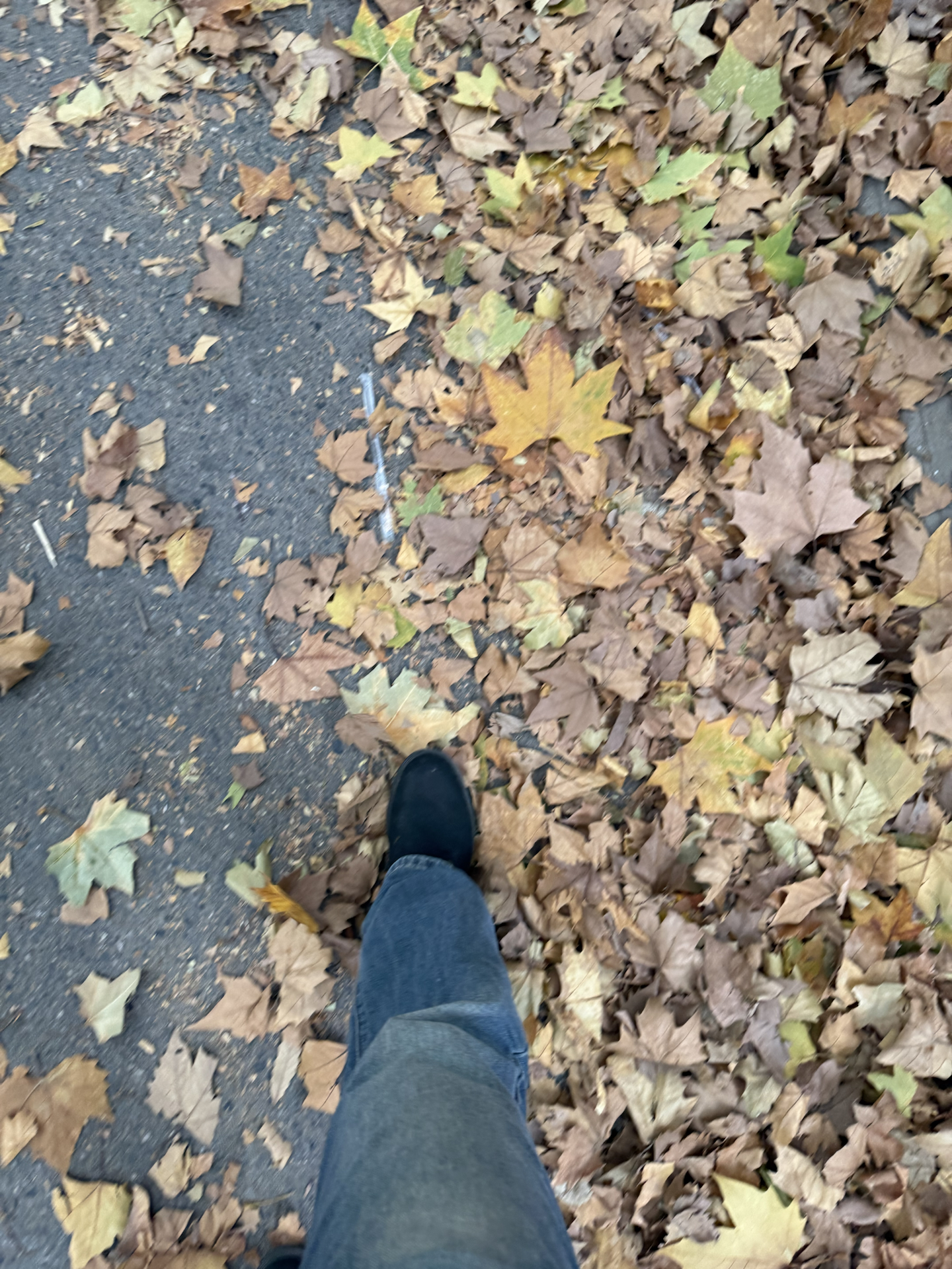 custom review-Timberland Collaboration PREMIUM Короткий Outdoor Мужской Черный