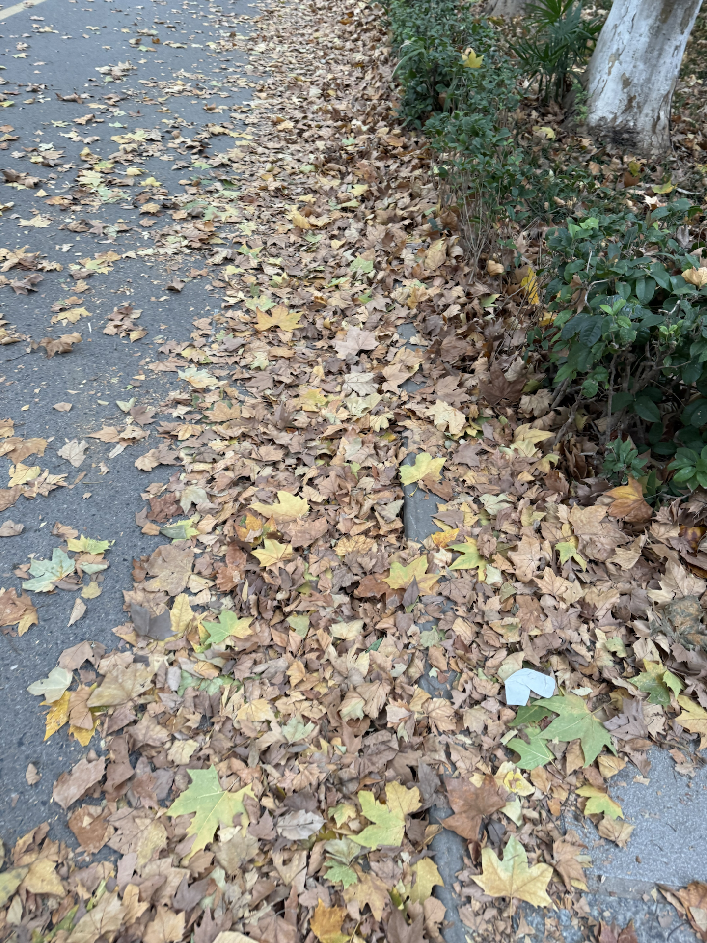 custom review-Timberland Collaboration PREMIUM Короткий Outdoor Мужской Черный