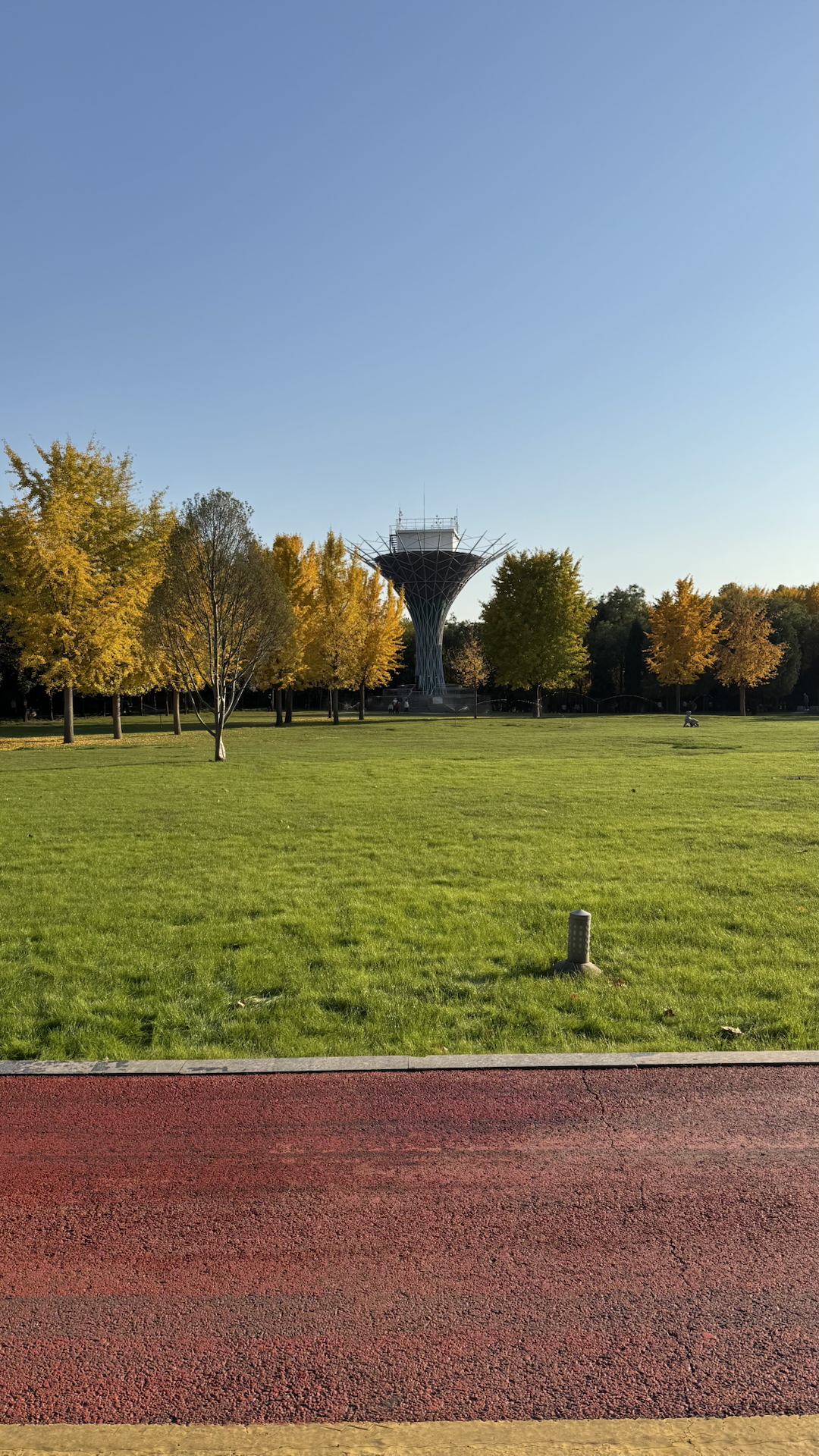 custom review-CHARLES KEITH ПУ (полиуретан) Сумка через плечо Большая Женская