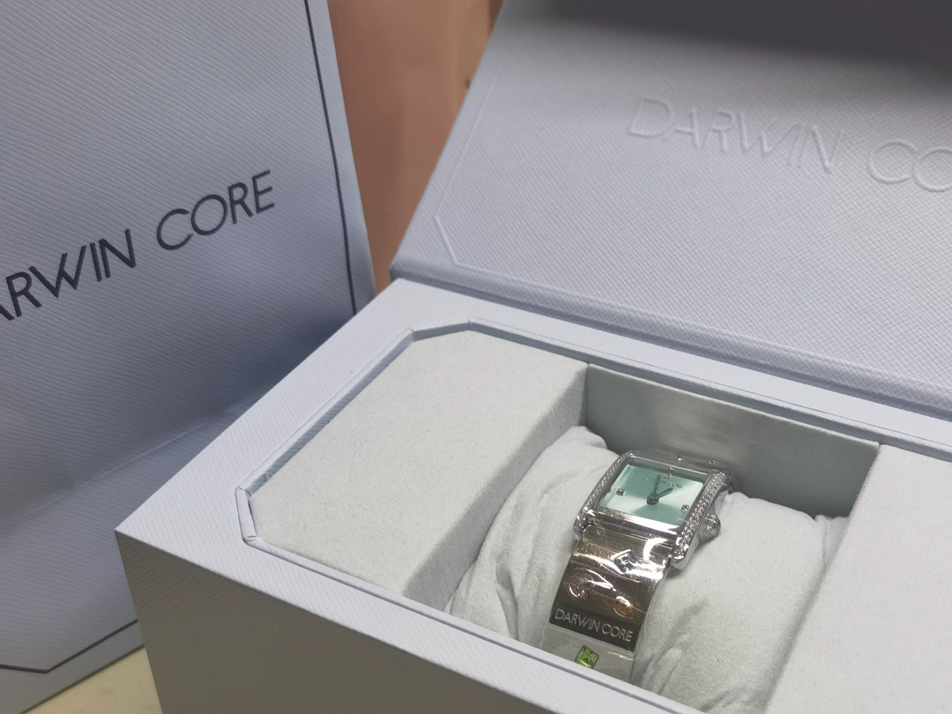 custom review-Darwin Core Кварцевый механизм ремешок из нержавеющей стали женские часы зеленый циферблат