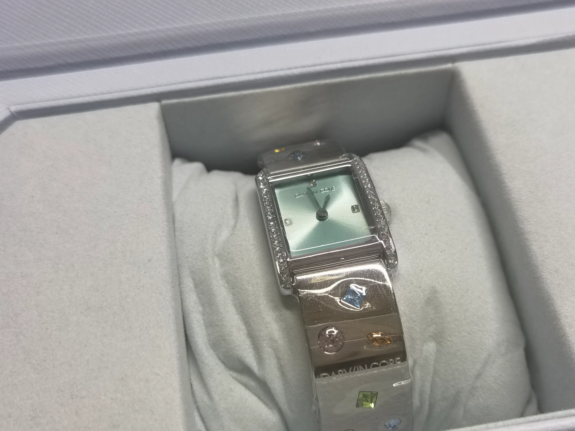 custom review-Darwin Core Кварцевый механизм ремешок из нержавеющей стали женские часы зеленый циферблат