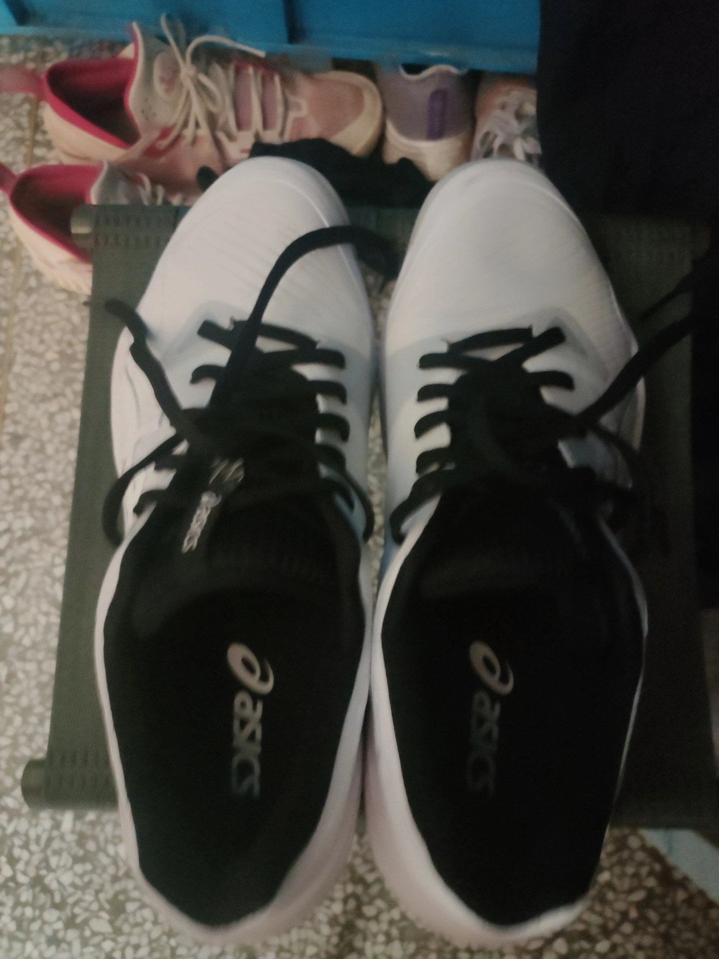 custom review-Asics Sky Elite FF 3 Устойчивые к истиранию низкие кроссовки для тренировок унисекс белые