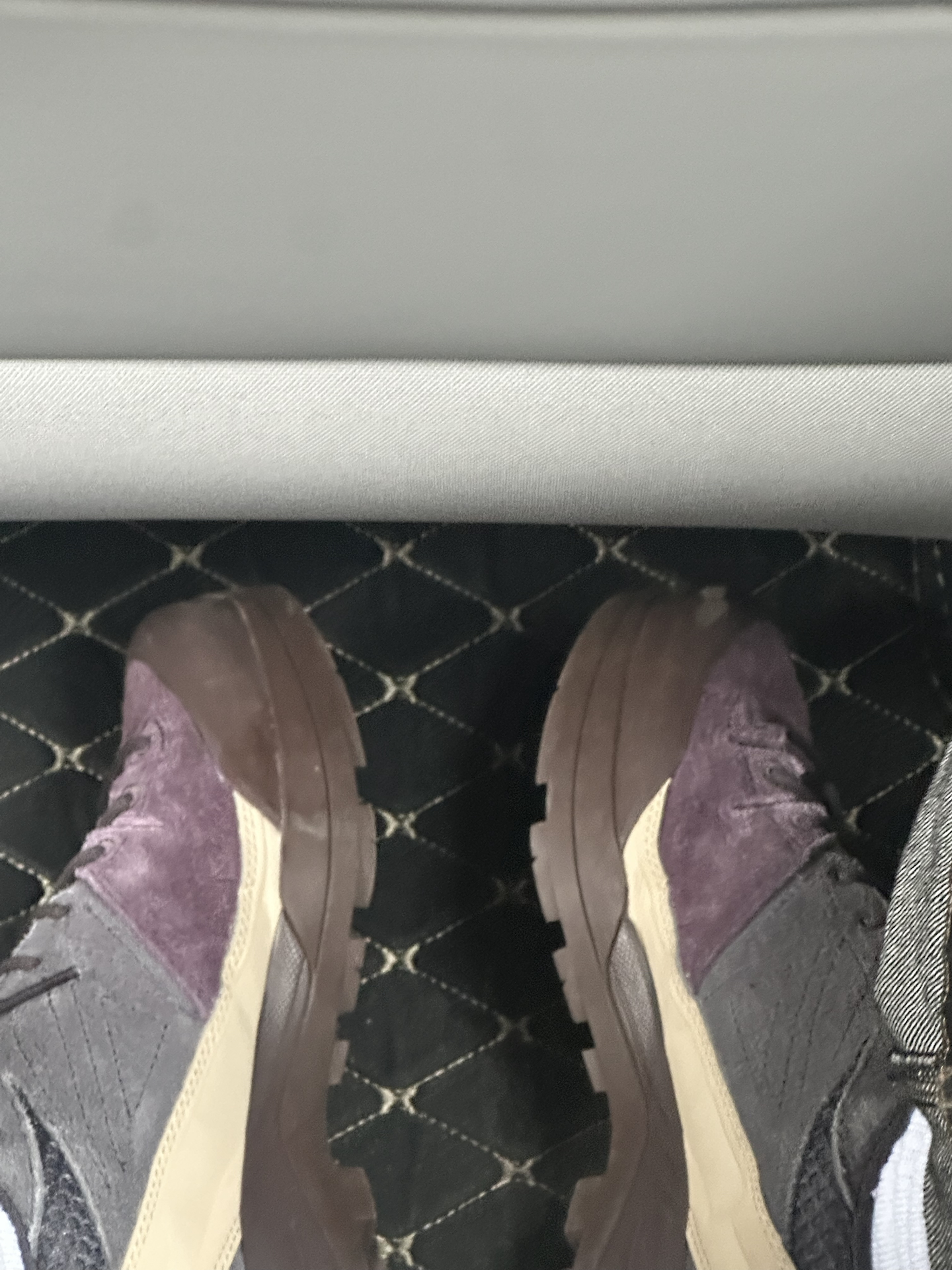 custom review-SALOMON X Alp Амортизация Устойчивость к истиранию Покрытие Поддержка Легкий Низкий Топ Походная обувь Унисекс Сливовый