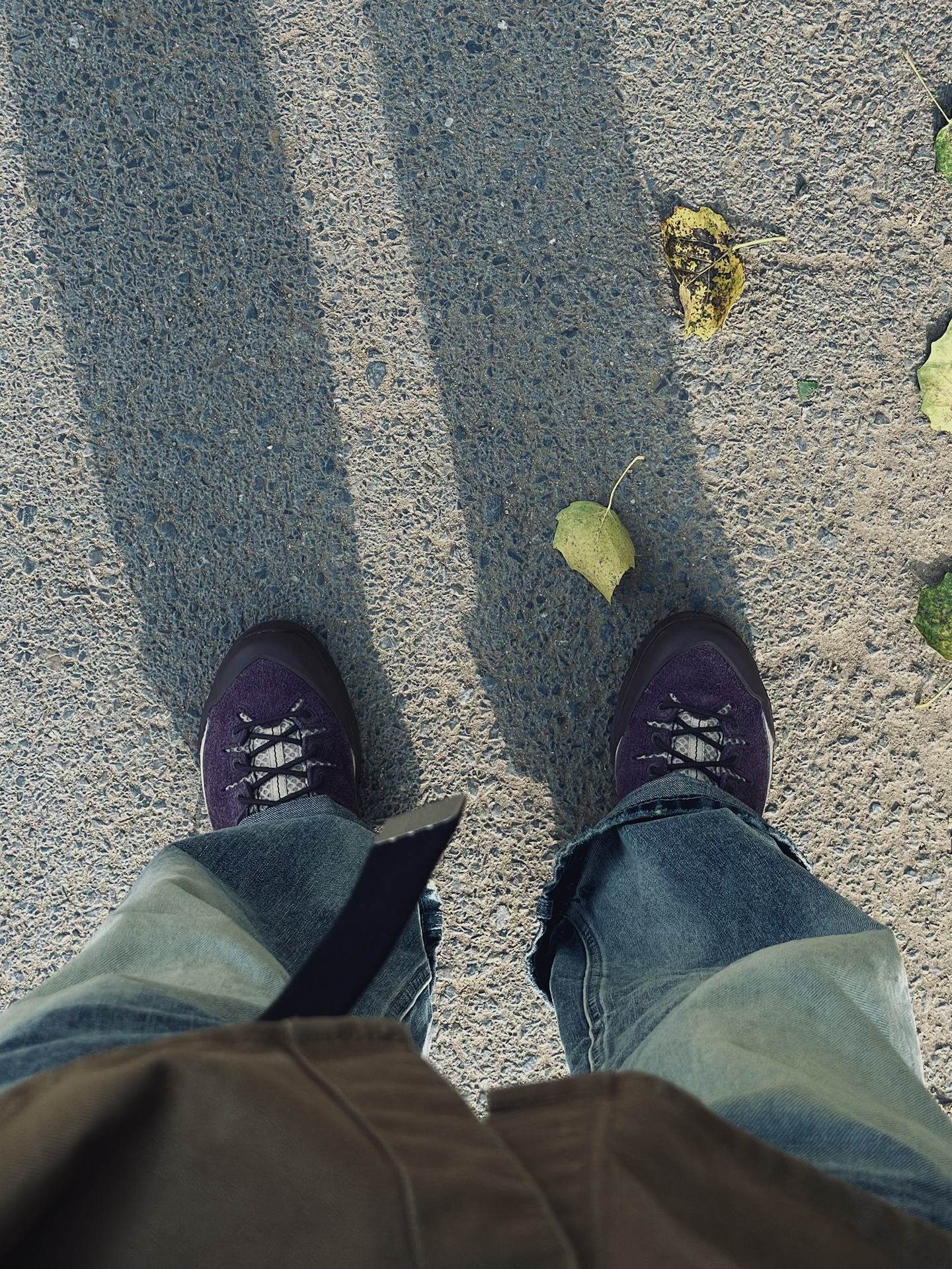 custom review-SALOMON X Alp Амортизация Устойчивость к истиранию Покрытие Поддержка Легкий Низкий Топ Походная обувь Унисекс Сливовый