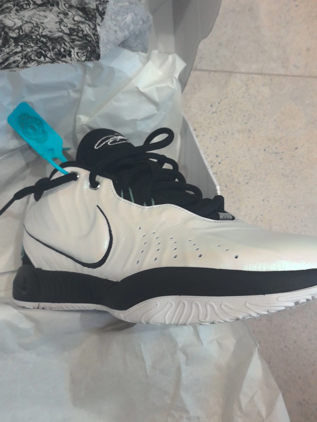 custom review-Nike Lebron 21 Low Топ Баскетбольные Кроссовки Мужские Silver Black Международная Версия