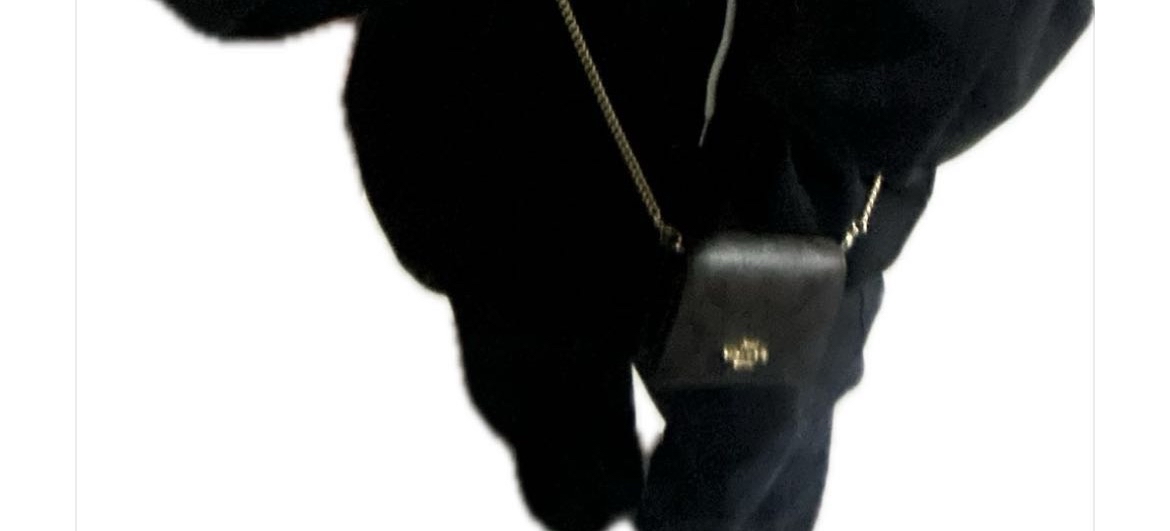 custom review-COACH Цепочка Холст с кожей Цепочка Кошелек Сумка через плечо Сумка на плечо Мини Женская Темно-коричневая