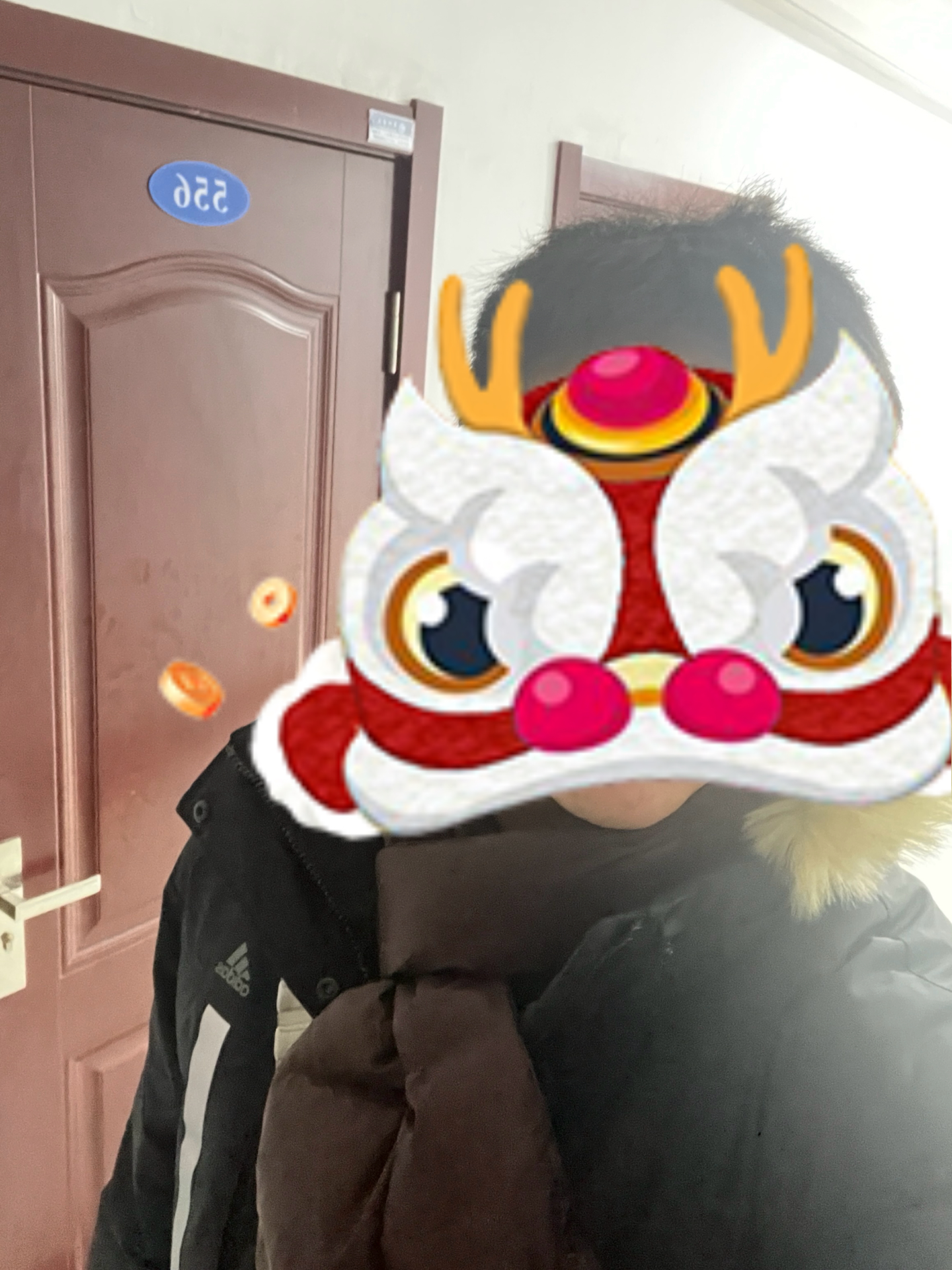 custom review-Adidas Мужские Черные Пуховики