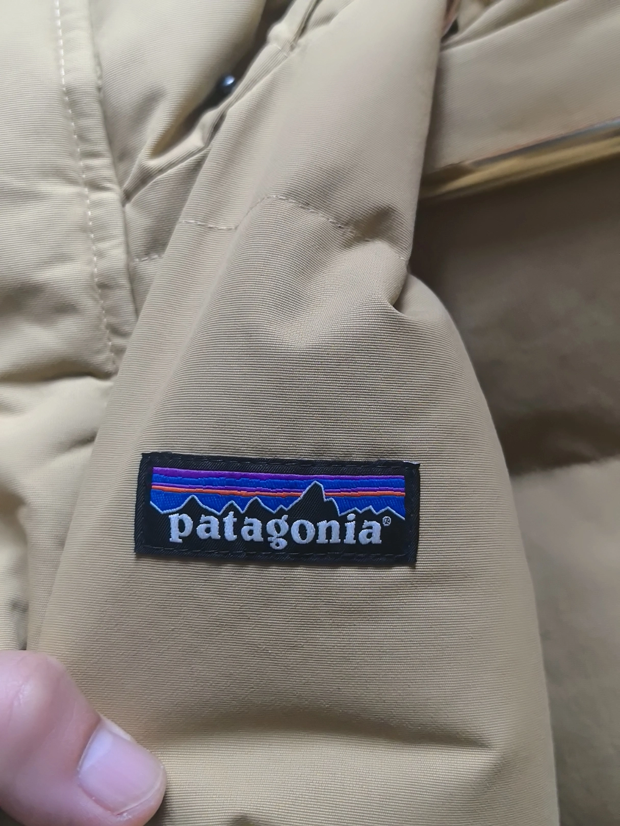 custom review-Patagonia Пуховик Зимний Мужской