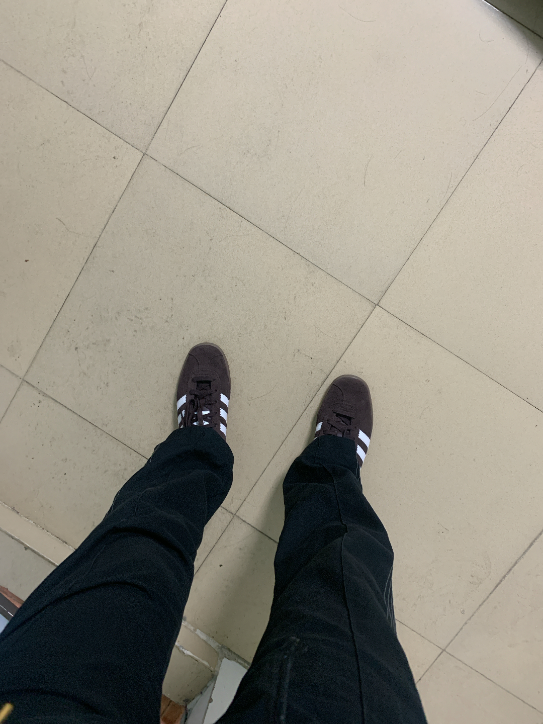 custom review-Adidas Originals Городской Slip Resistant Abrasion Resistant Низкий Топ Скейтборд Кроссовки Унисекс Коричневый