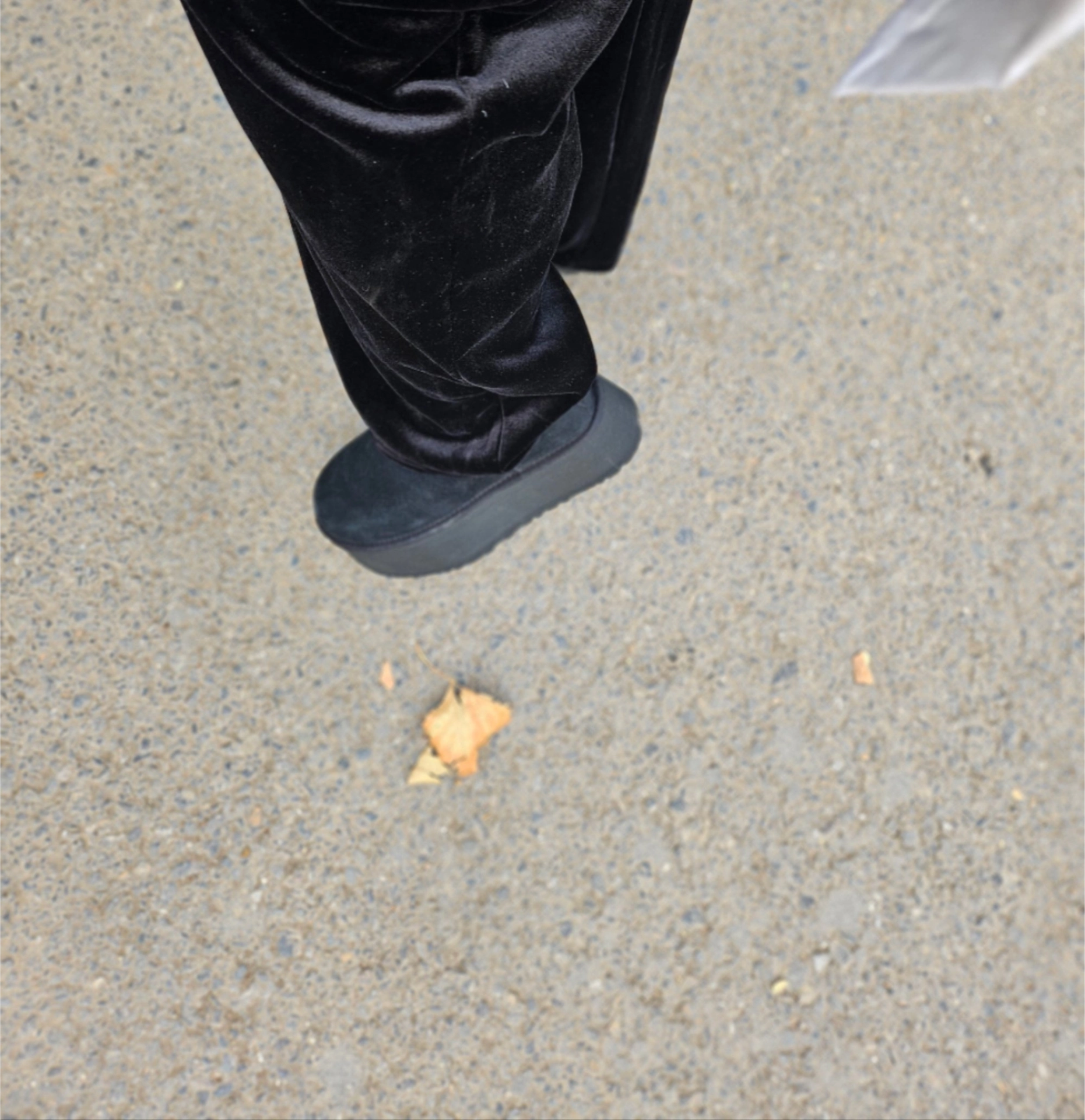 custom review-UGG Ботильоны Черные Женские