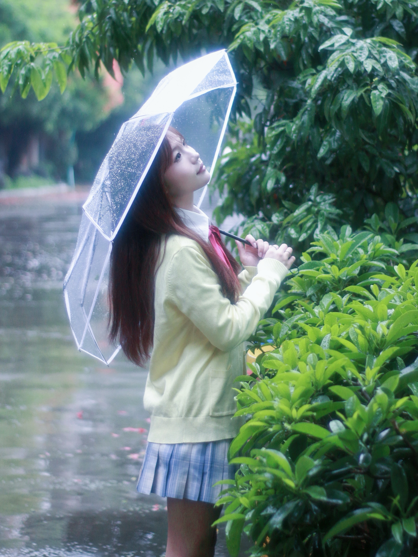 雨天的浪漫