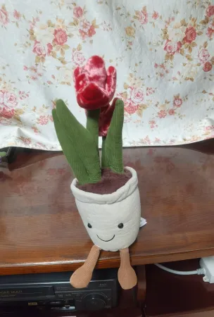 POIZON